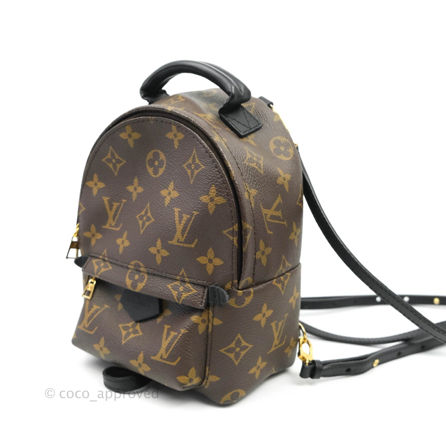 Louis Vuitton Monogram Mini Palm Springs Backpack⁣