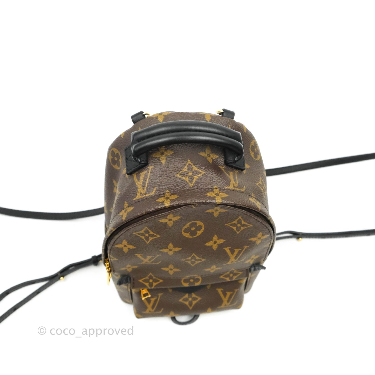 Louis Vuitton Monogram Mini Palm Springs Backpack⁣