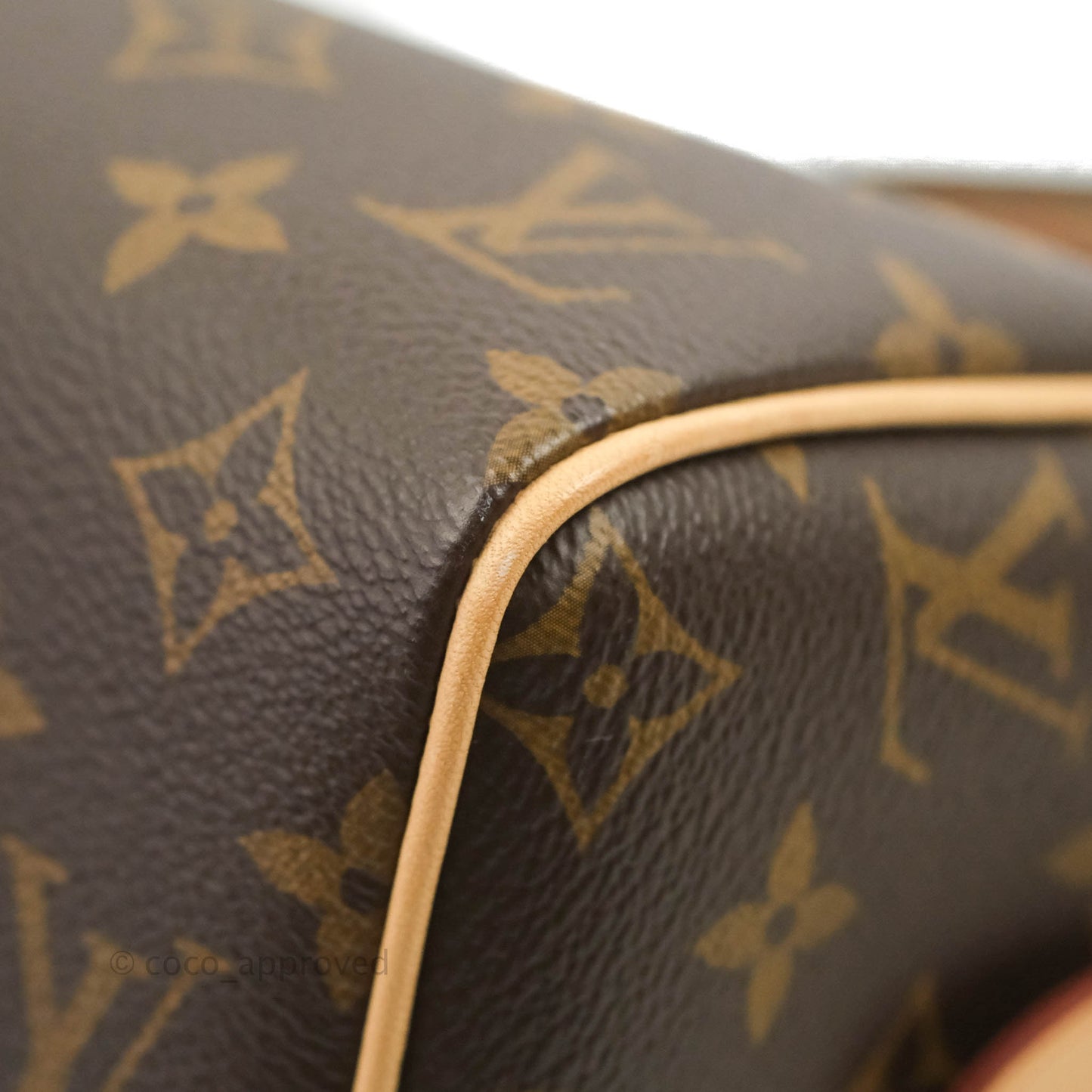 Louis Vuitton Speedy Bandoulière 20 Monogram