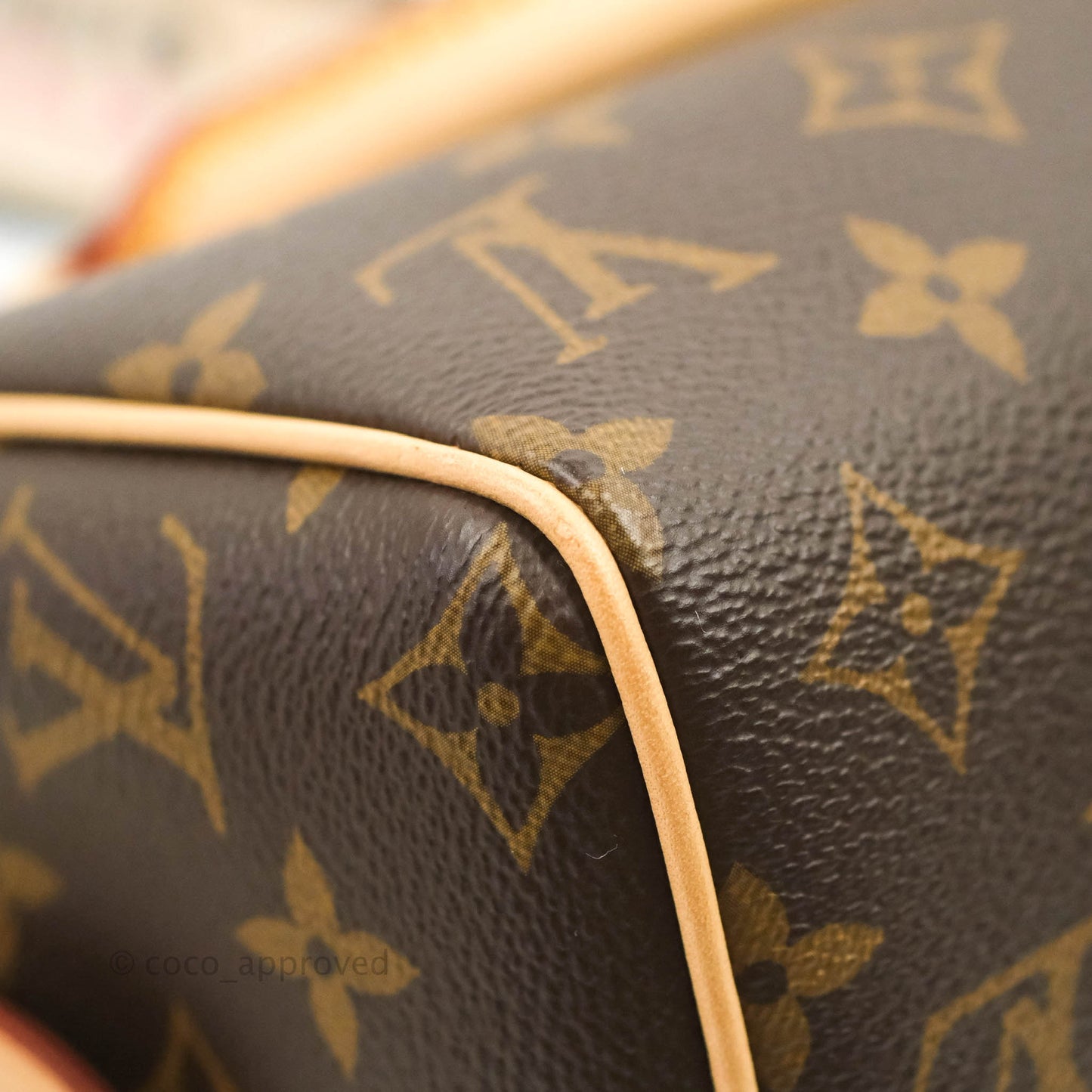 Louis Vuitton Speedy Bandoulière 20 Monogram