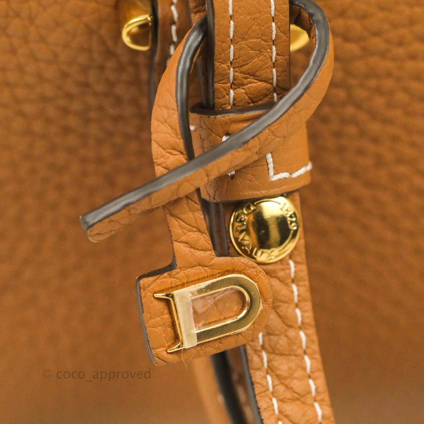 Delvaux Nano Cool Box in Taurillon Soft Grained Calfskin Vegetal Ivory Gold Hardware