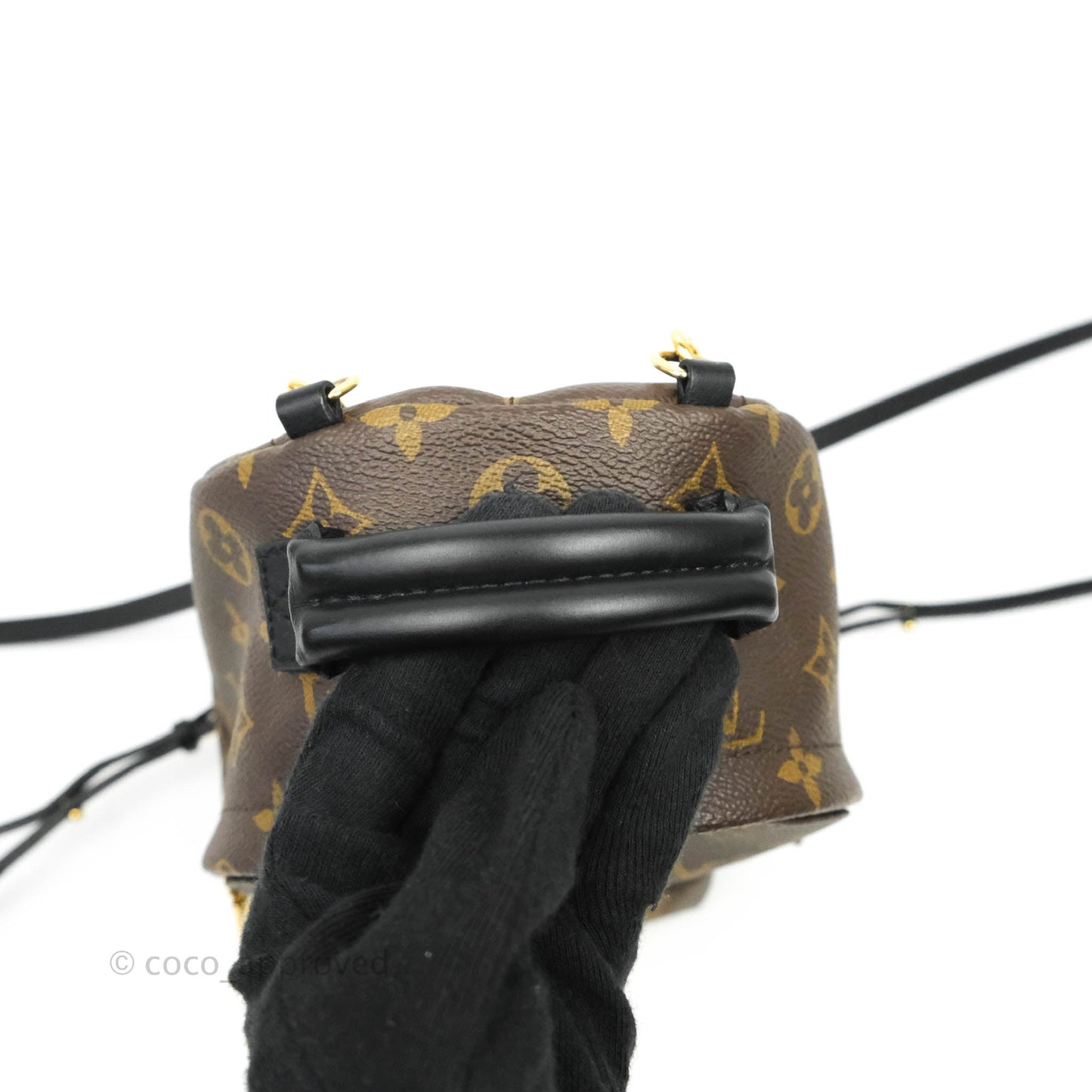 Louis Vuitton Monogram Mini Palm Springs Backpack⁣