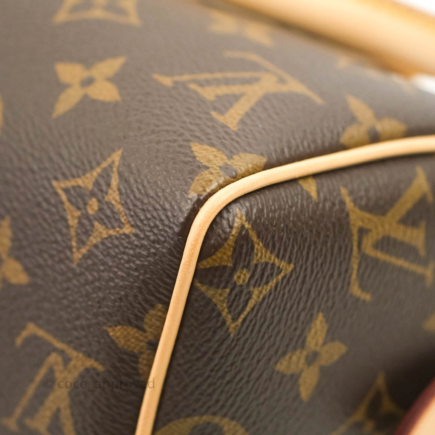 Louis Vuitton Speedy Bandoulière 20 Monogram