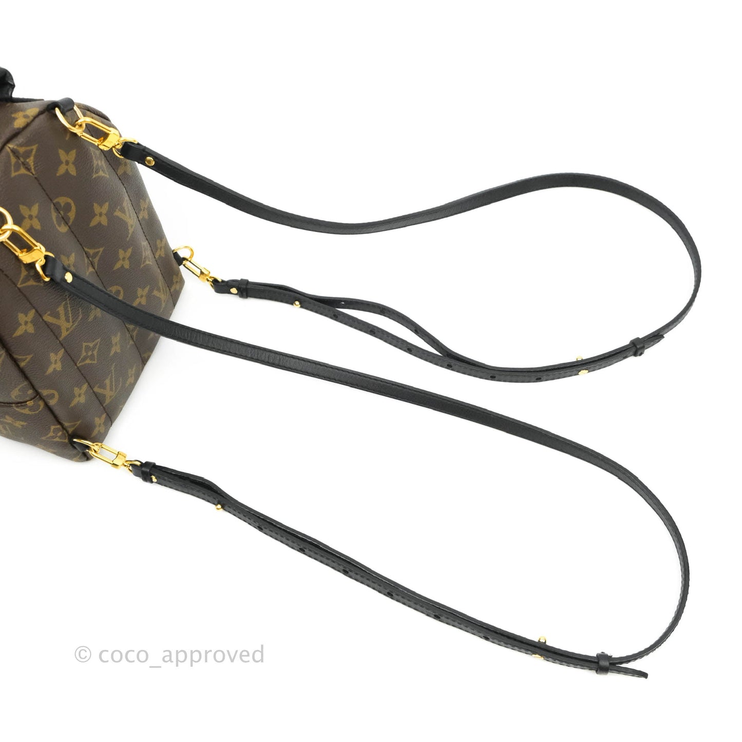 Louis Vuitton Monogram Mini Palm Springs Backpack⁣