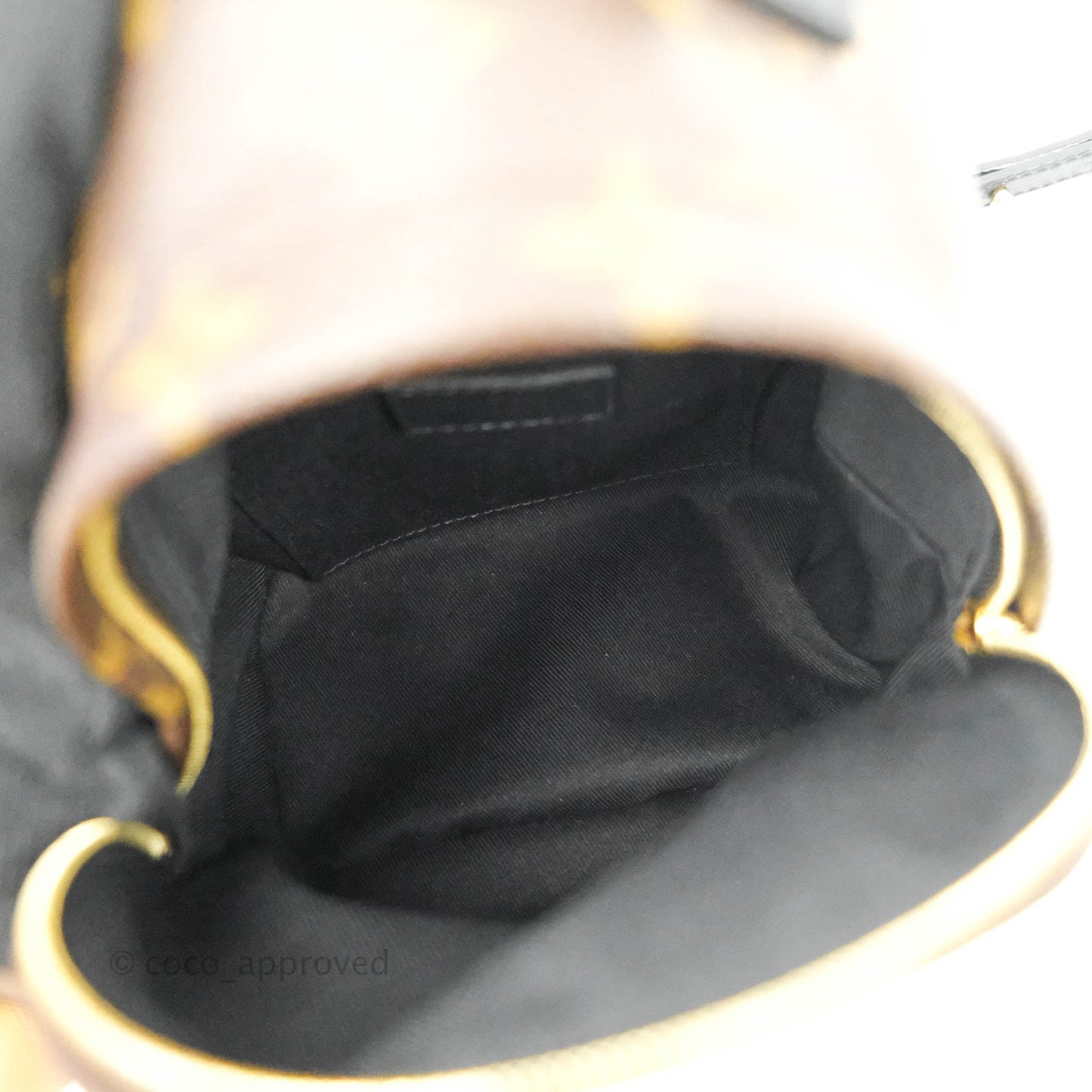 Louis Vuitton Monogram Mini Palm Springs Backpack⁣