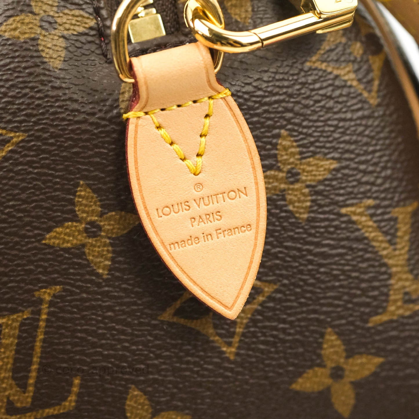 Louis Vuitton Speedy Bandoulière 20 Monogram