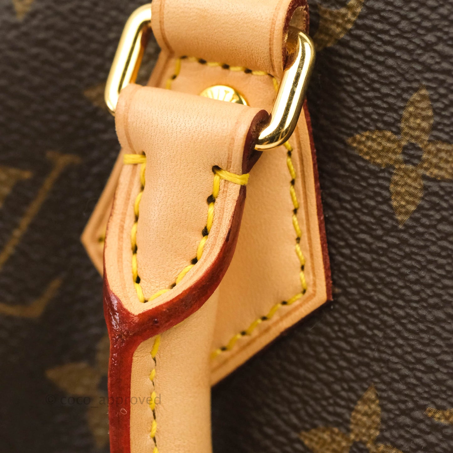 Louis Vuitton Speedy Bandoulière 20 Monogram