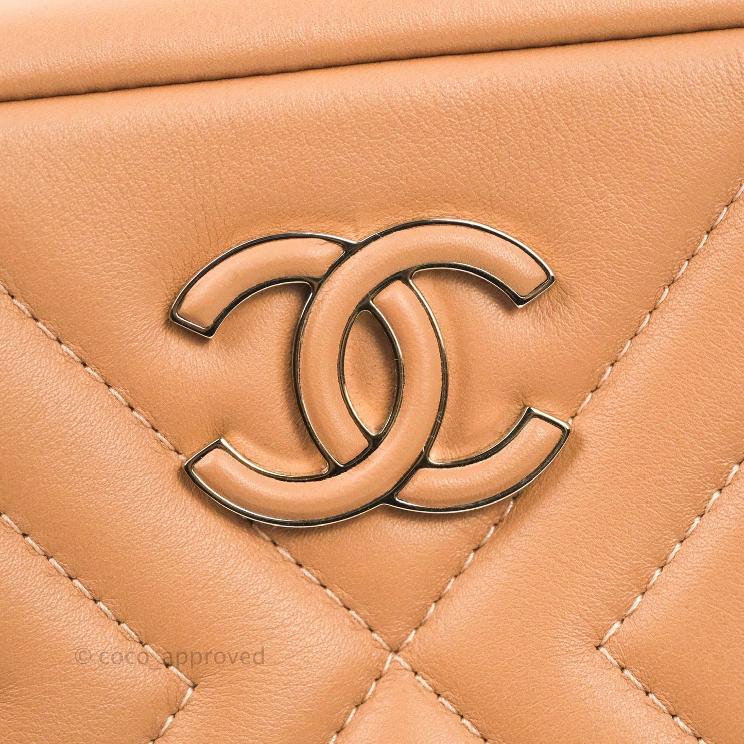 Chanel Chevron Camera Case Calfskin Dark Beige