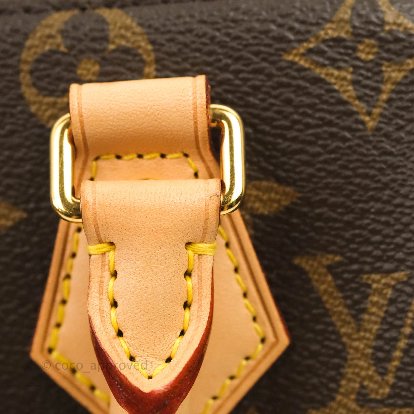 Louis Vuitton Speedy Bandoulière 20 Monogram