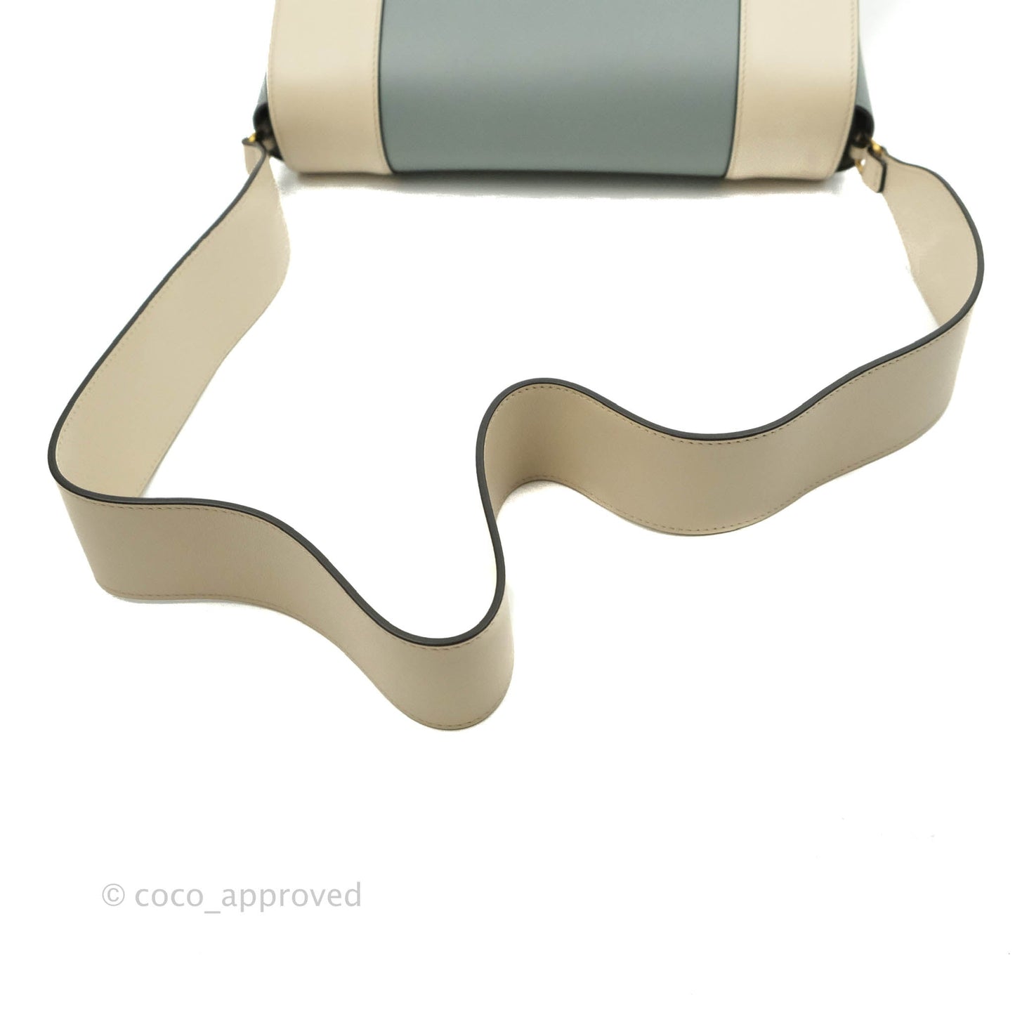 Celine Frame Bag Blue & Optic White