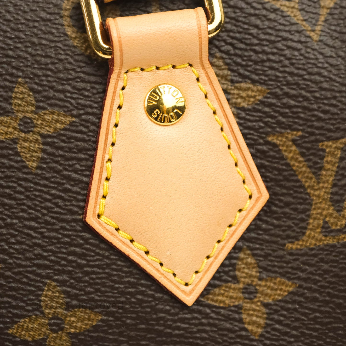 Louis Vuitton Speedy Bandoulière 20 Monogram
