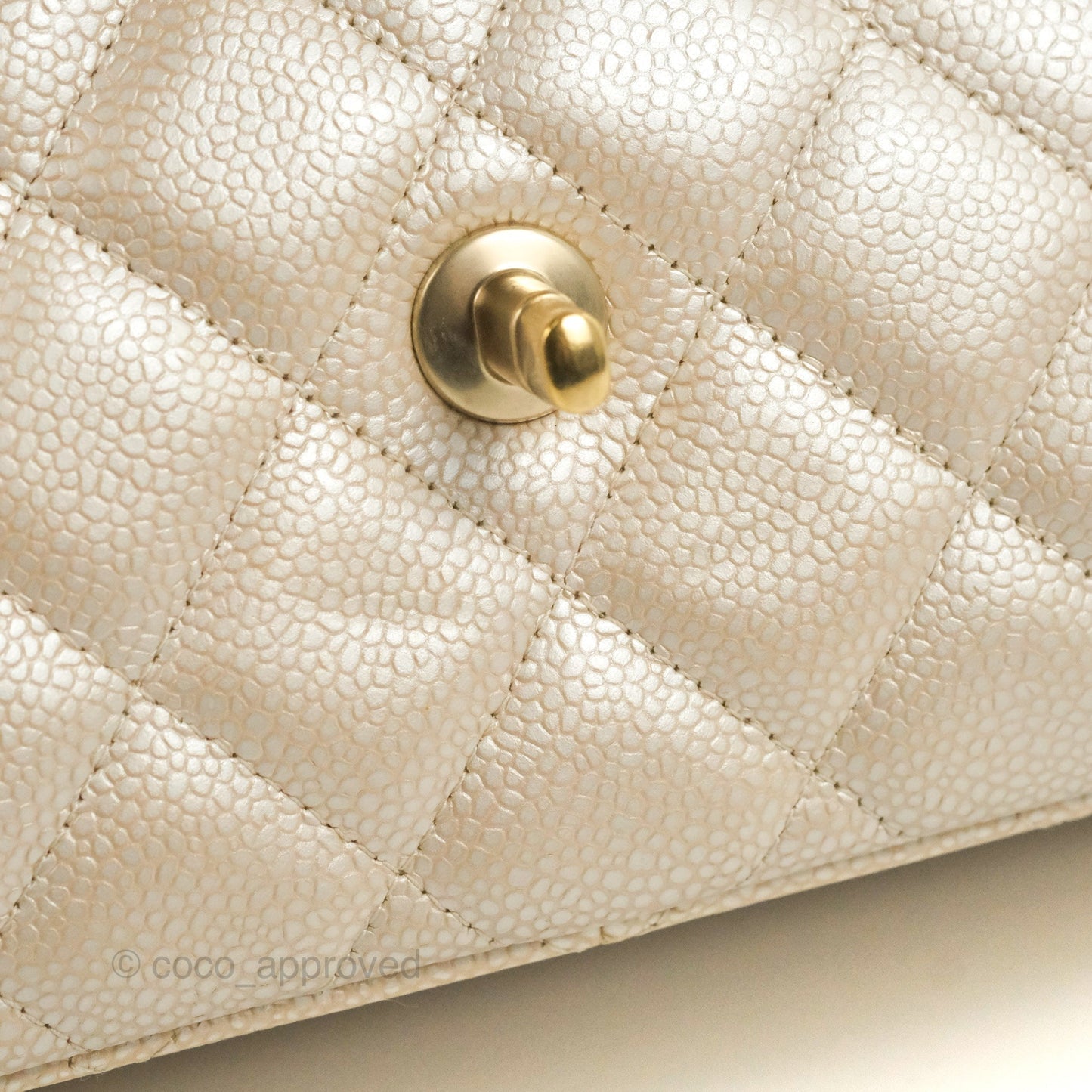 Chanel Jumbo Double Flap Iridescent Pearly Caviar Gold Hardware⁣⁣