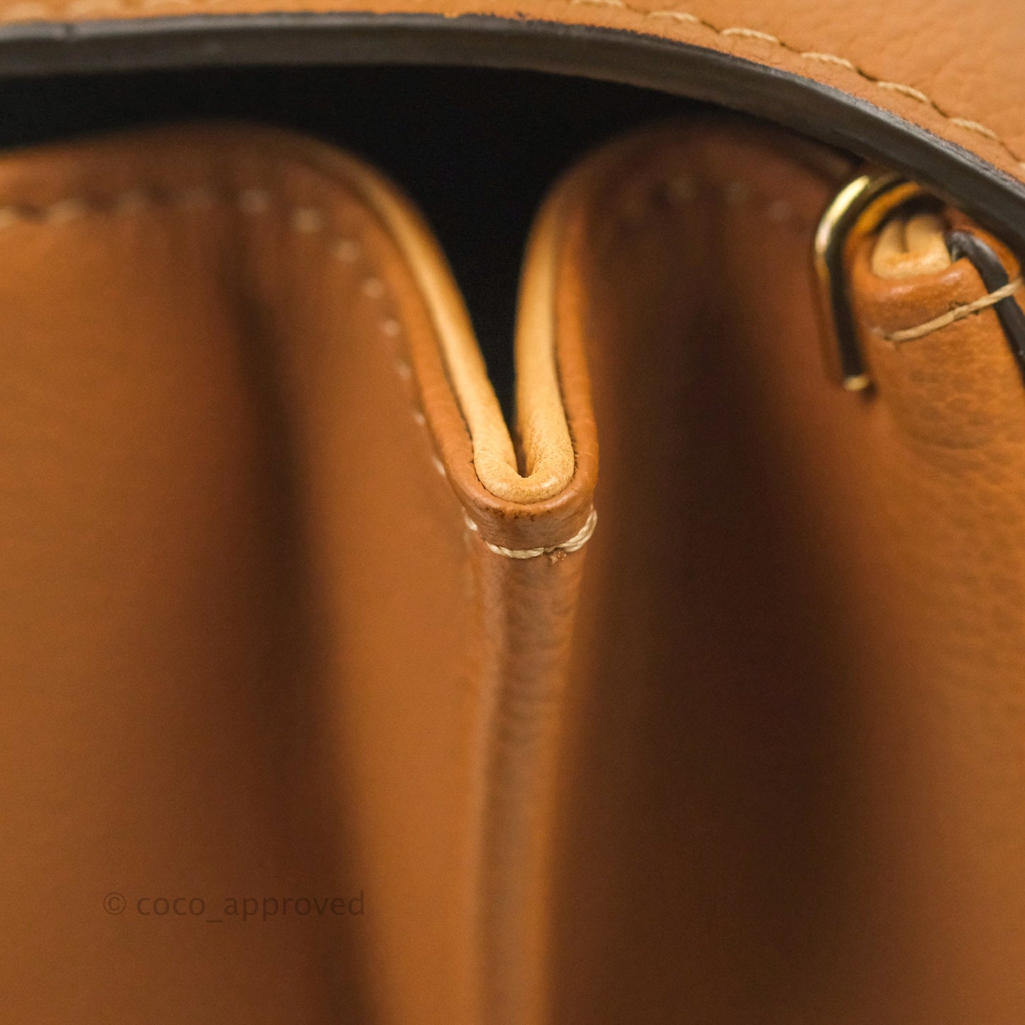 Delvaux Mini Brillant Bag Vegetal Rodeo Calf Gold Hardware