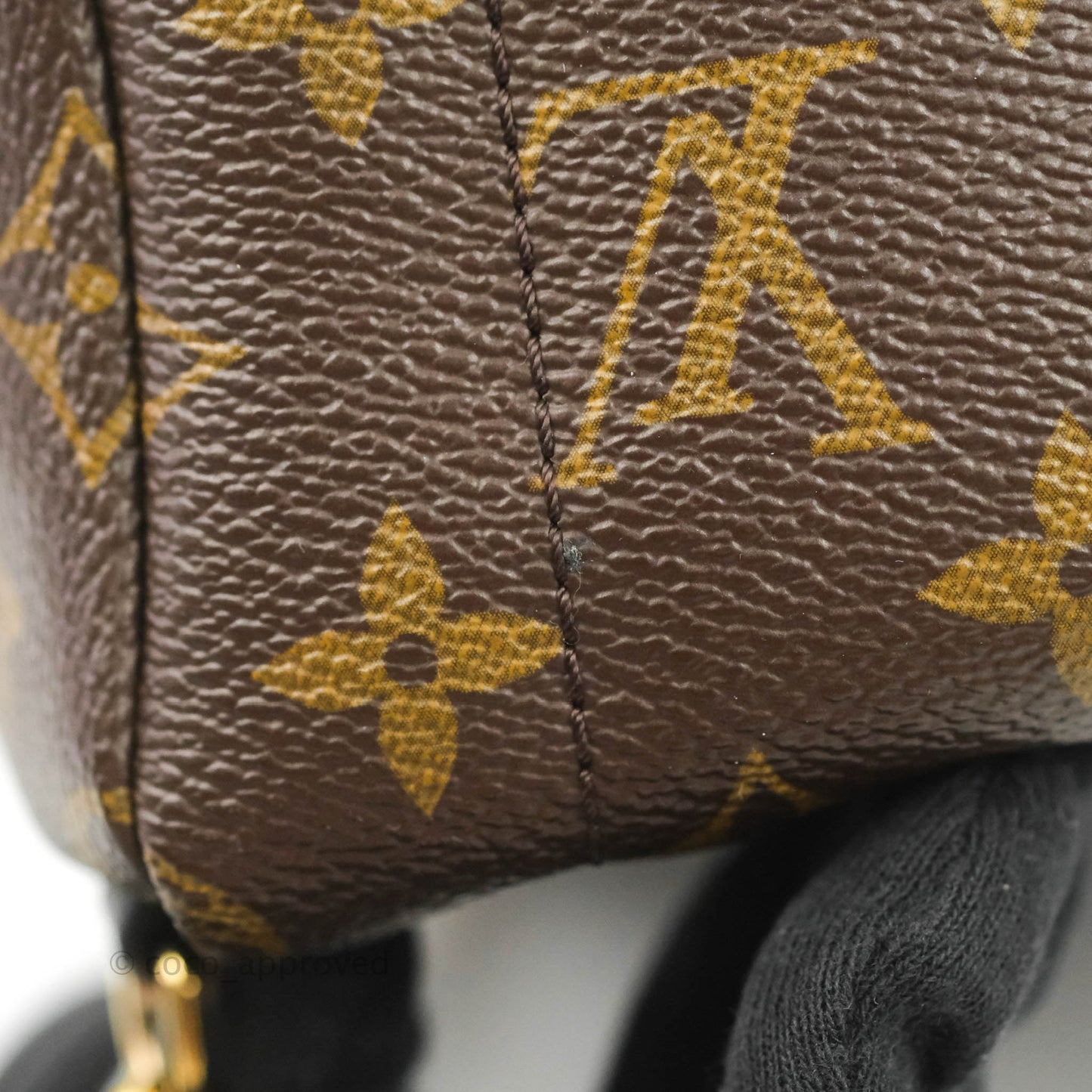 Louis Vuitton Monogram Mini Palm Springs Backpack⁣