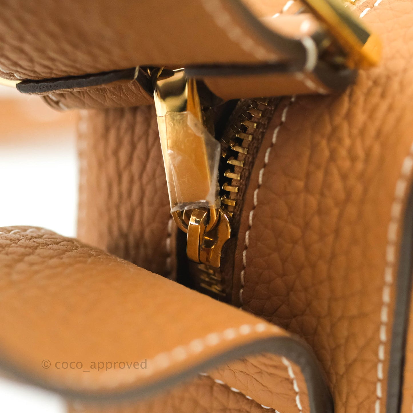 Delvaux Nano Cool Box in Taurillon Soft Grained Calfskin Vegetal Ivory Gold Hardware