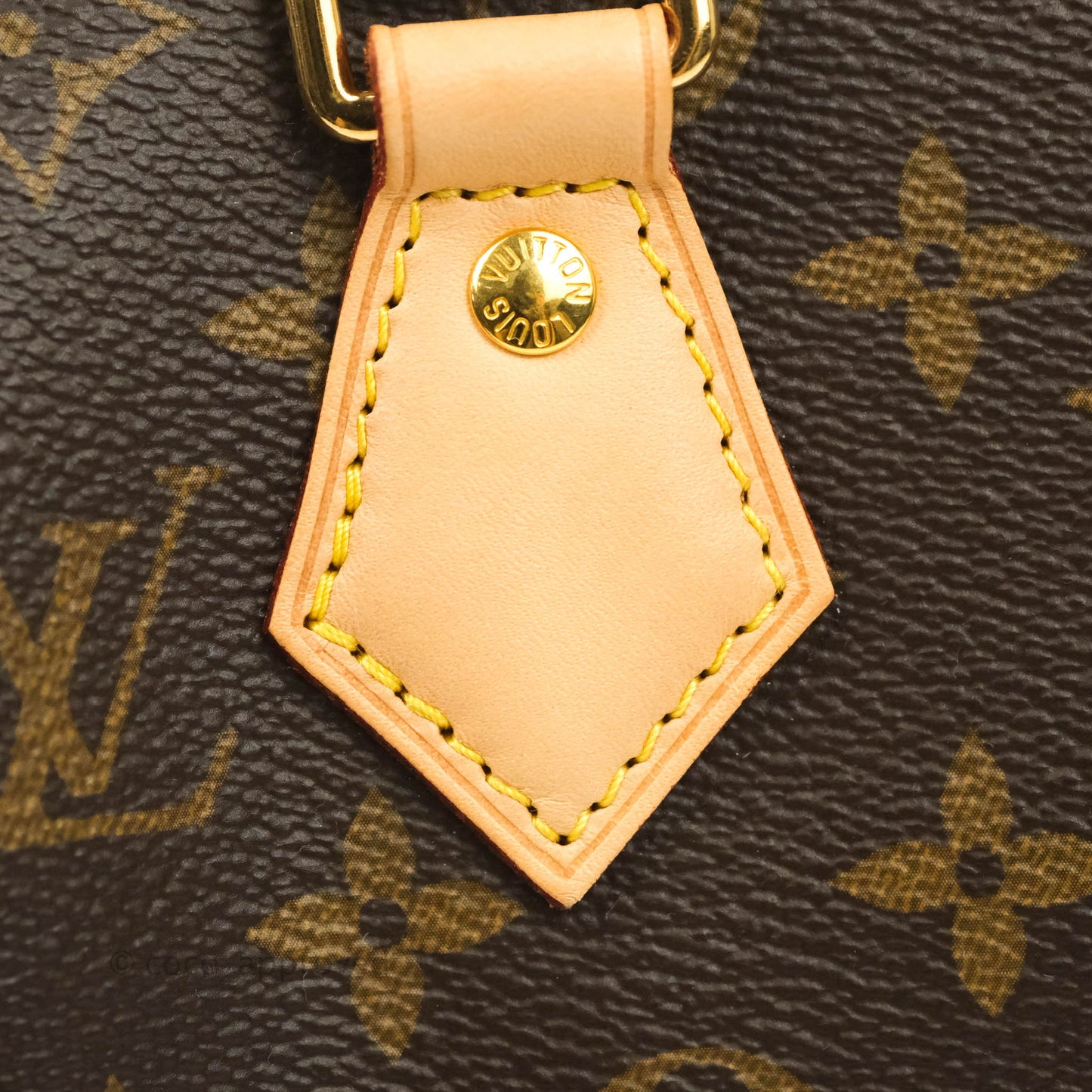 Louis Vuitton Speedy Bandoulière 20 Monogram