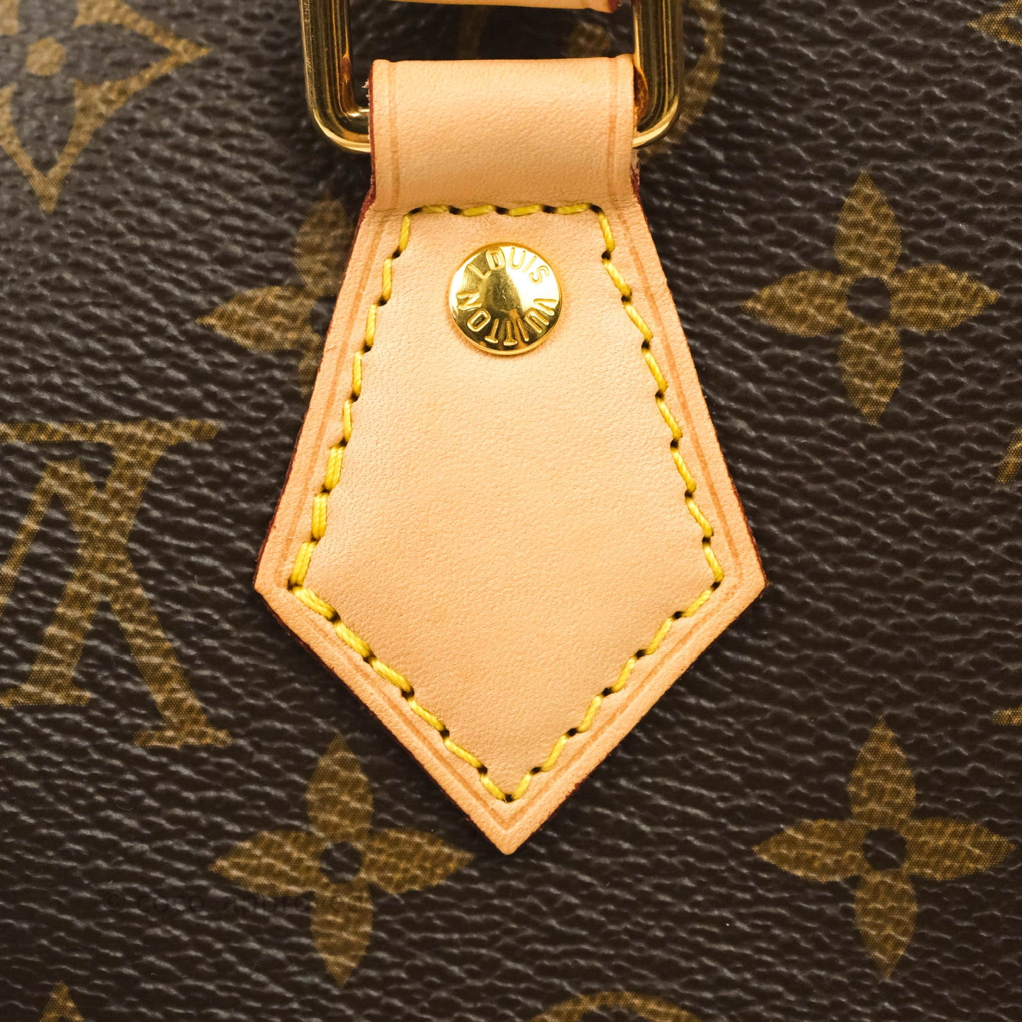 Louis Vuitton Speedy Bandoulière 20 Monogram