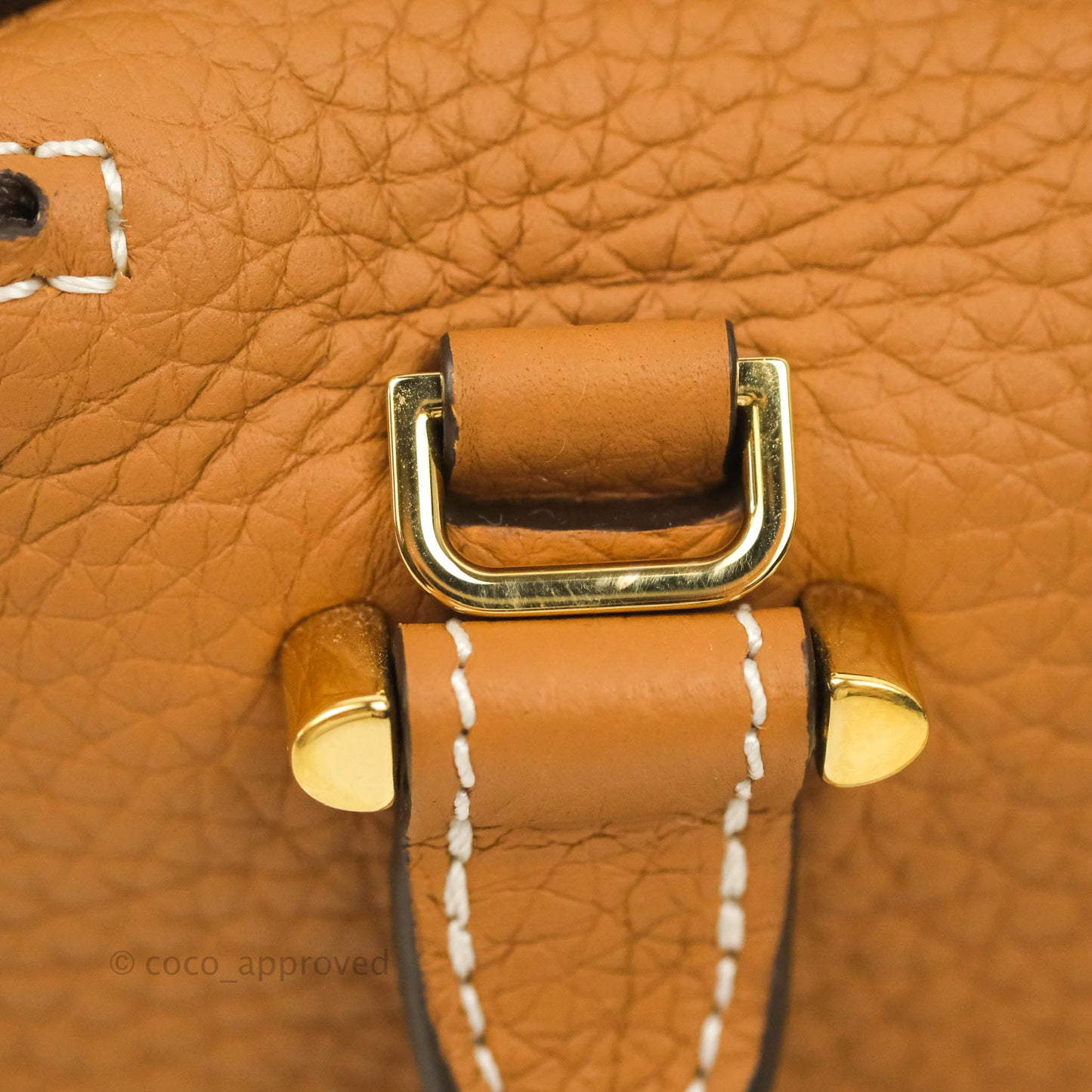 Delvaux Nano Cool Box in Taurillon Soft Grained Calfskin Vegetal Ivory Gold Hardware