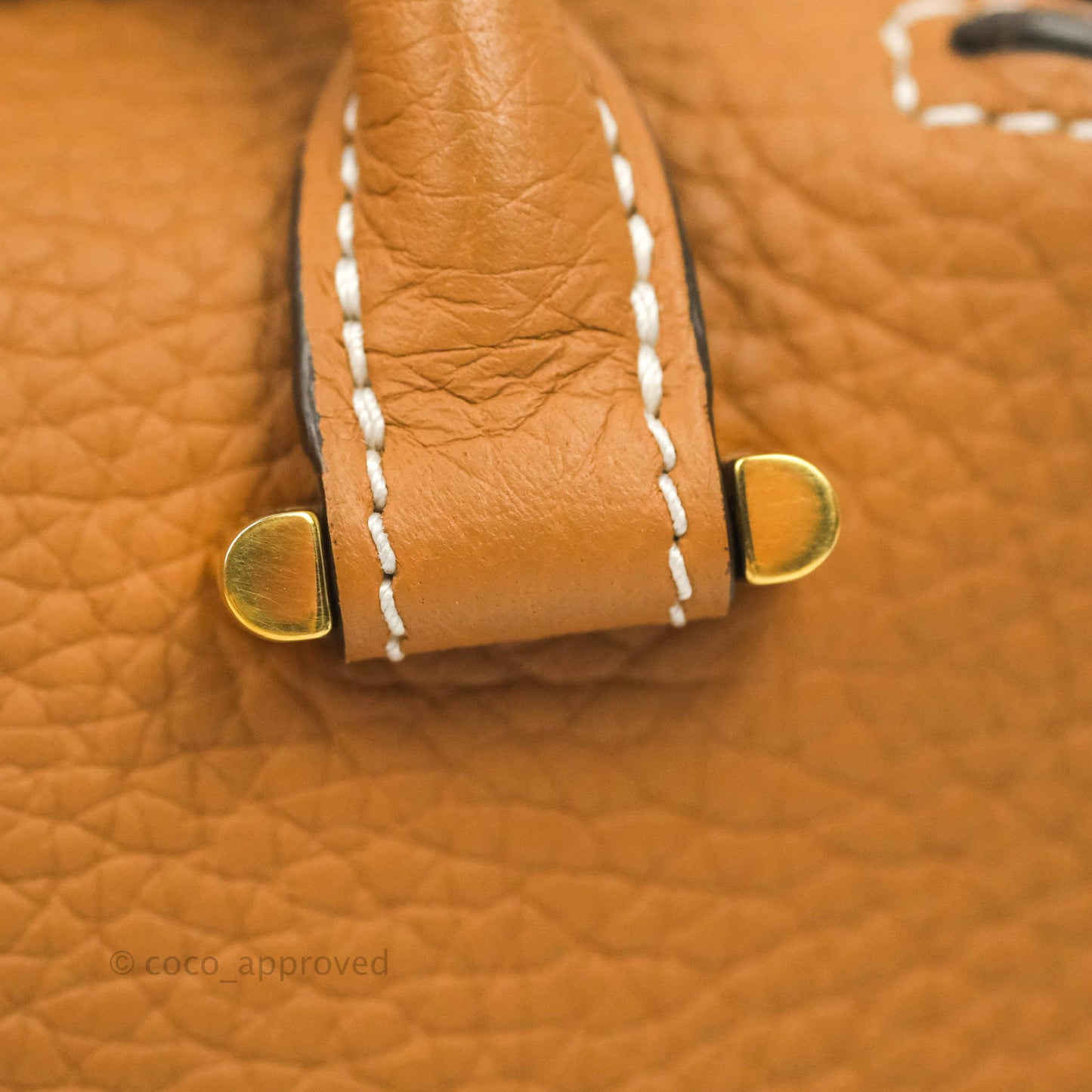 Delvaux Nano Cool Box in Taurillon Soft Grained Calfskin Vegetal Ivory Gold Hardware
