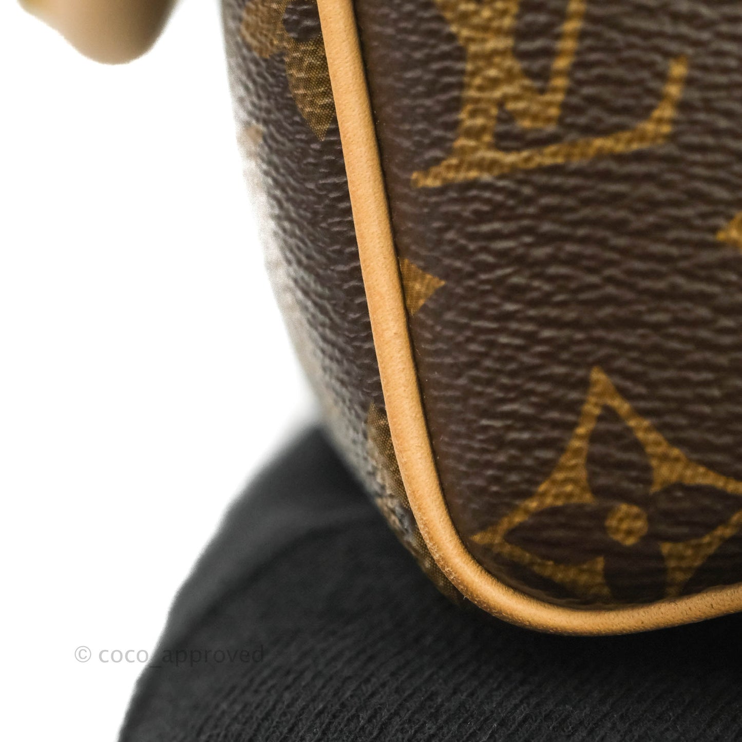 Louis Vuitton Speedy Bandoulière 20 Monogram