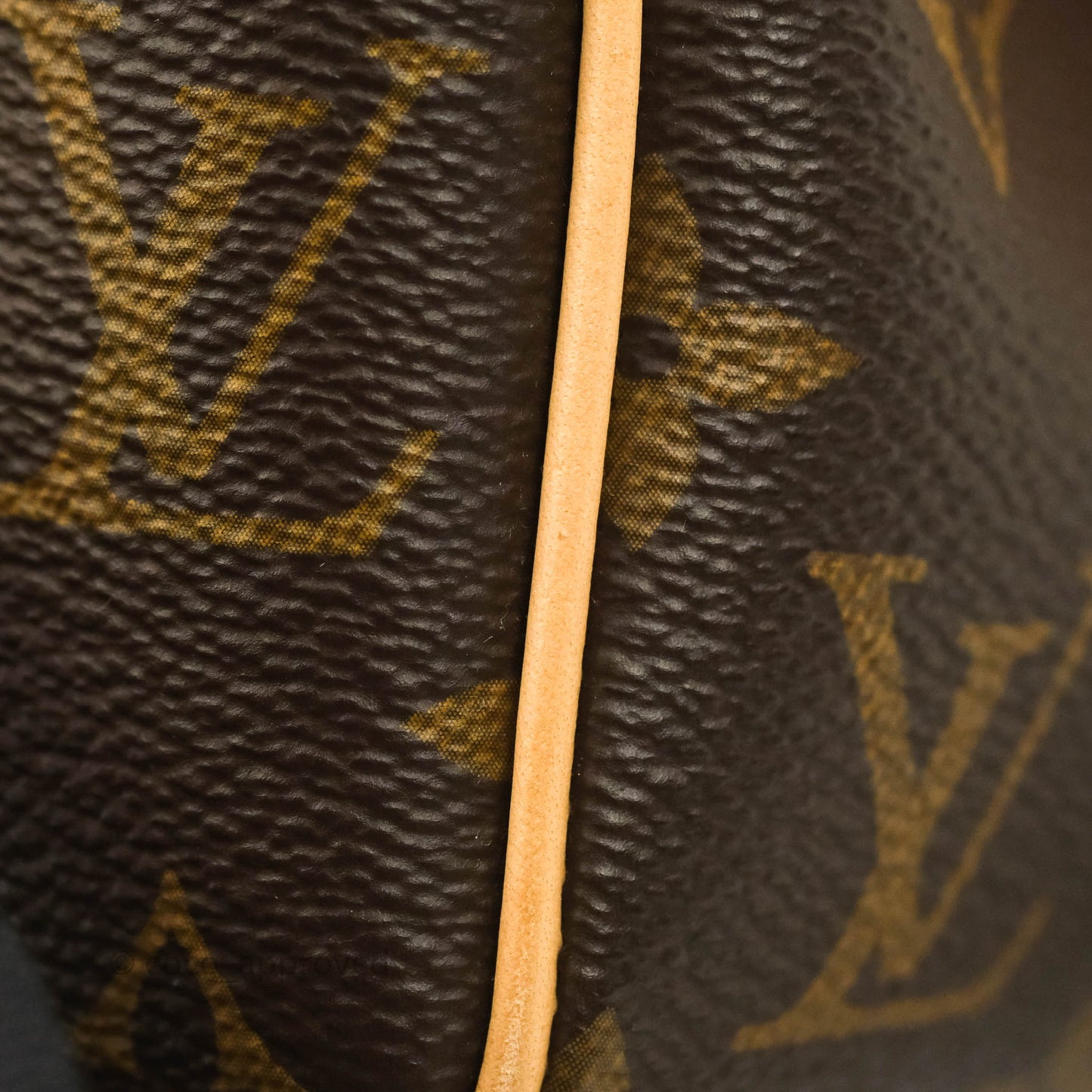 Louis Vuitton Speedy Bandoulière 20 Monogram