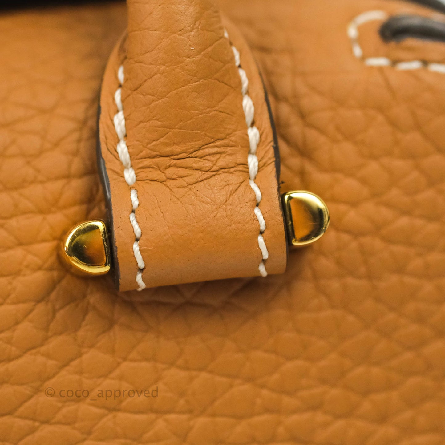 Delvaux Nano Cool Box in Taurillon Soft Grained Calfskin Vegetal Ivory Gold Hardware