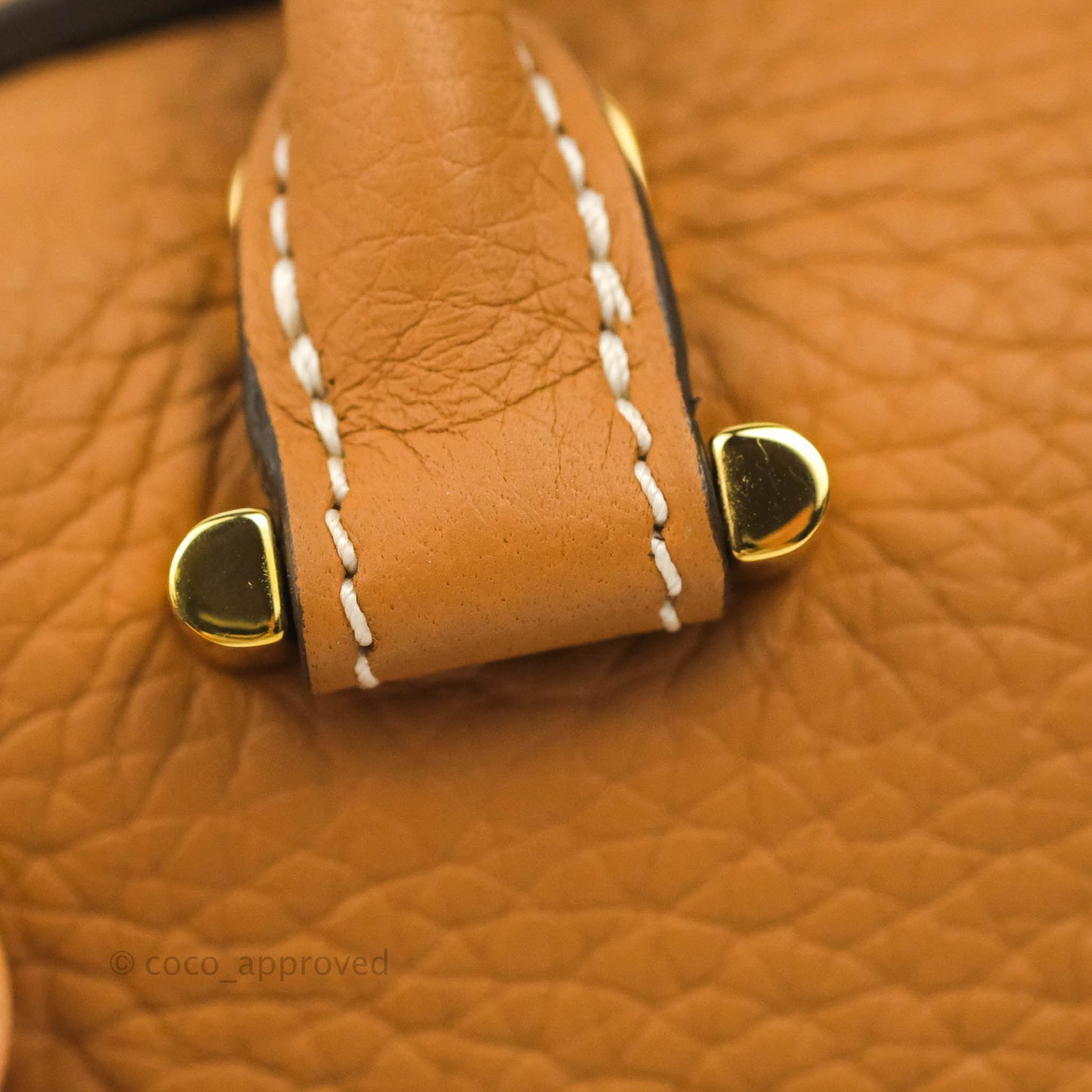 Delvaux Nano Cool Box in Taurillon Soft Grained Calfskin Vegetal Ivory Gold Hardware