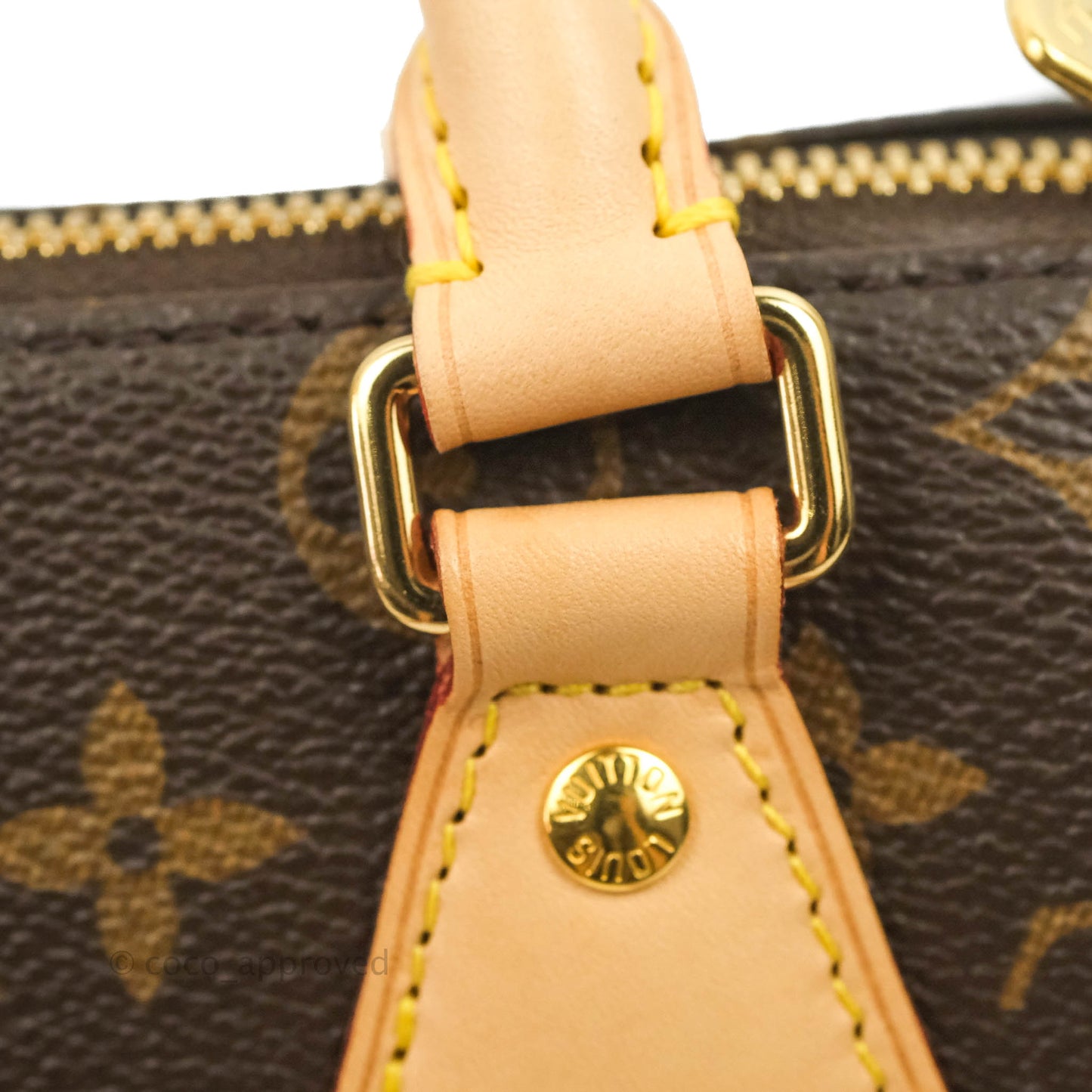 Louis Vuitton Speedy Bandoulière 20 Monogram