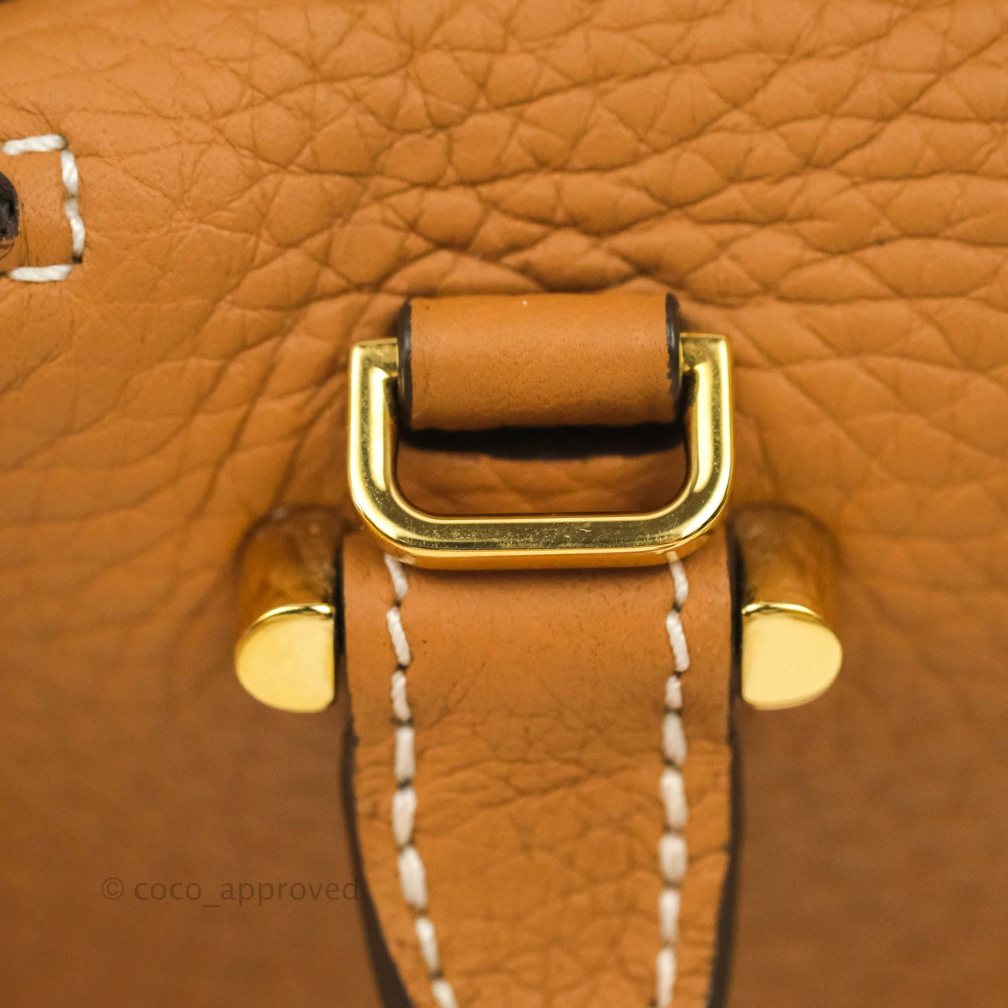 Delvaux Nano Cool Box in Taurillon Soft Grained Calfskin Vegetal Ivory Gold Hardware