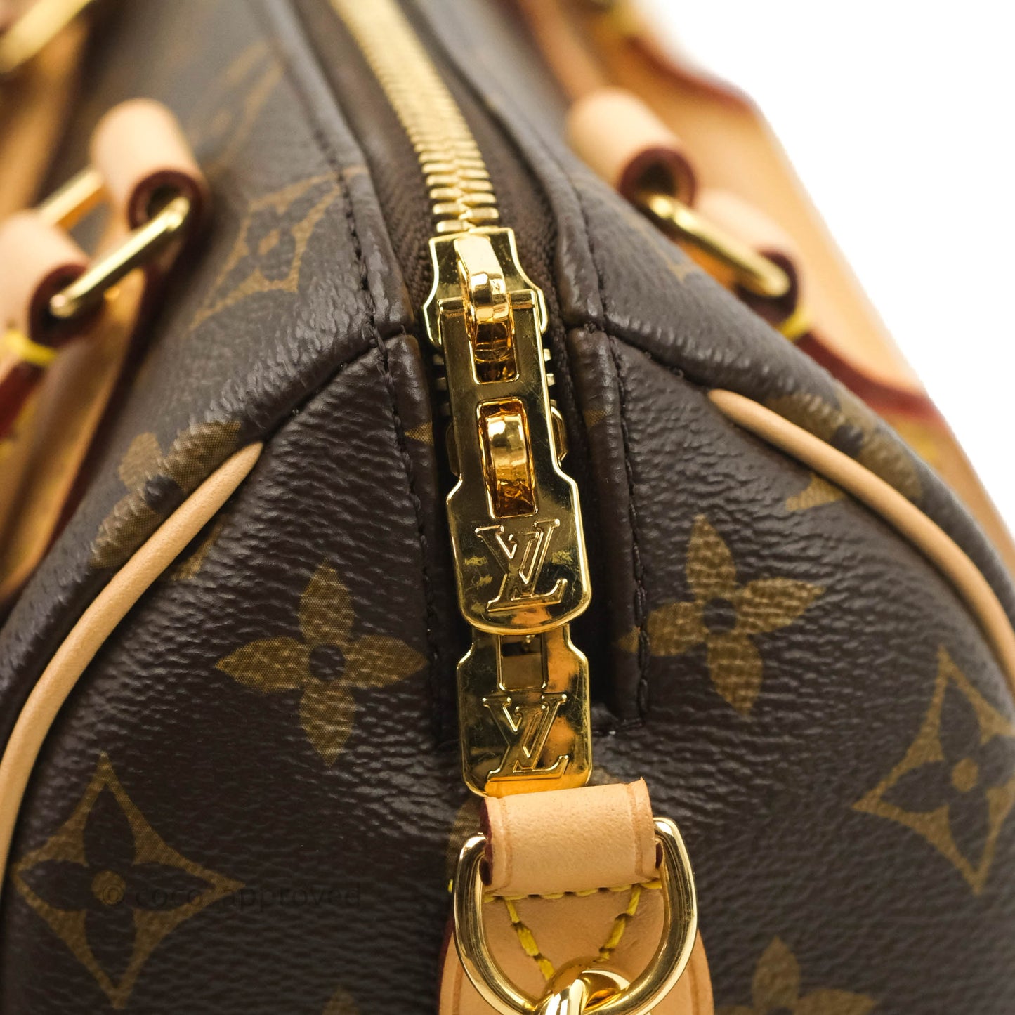 Louis Vuitton Speedy Bandoulière 20 Monogram