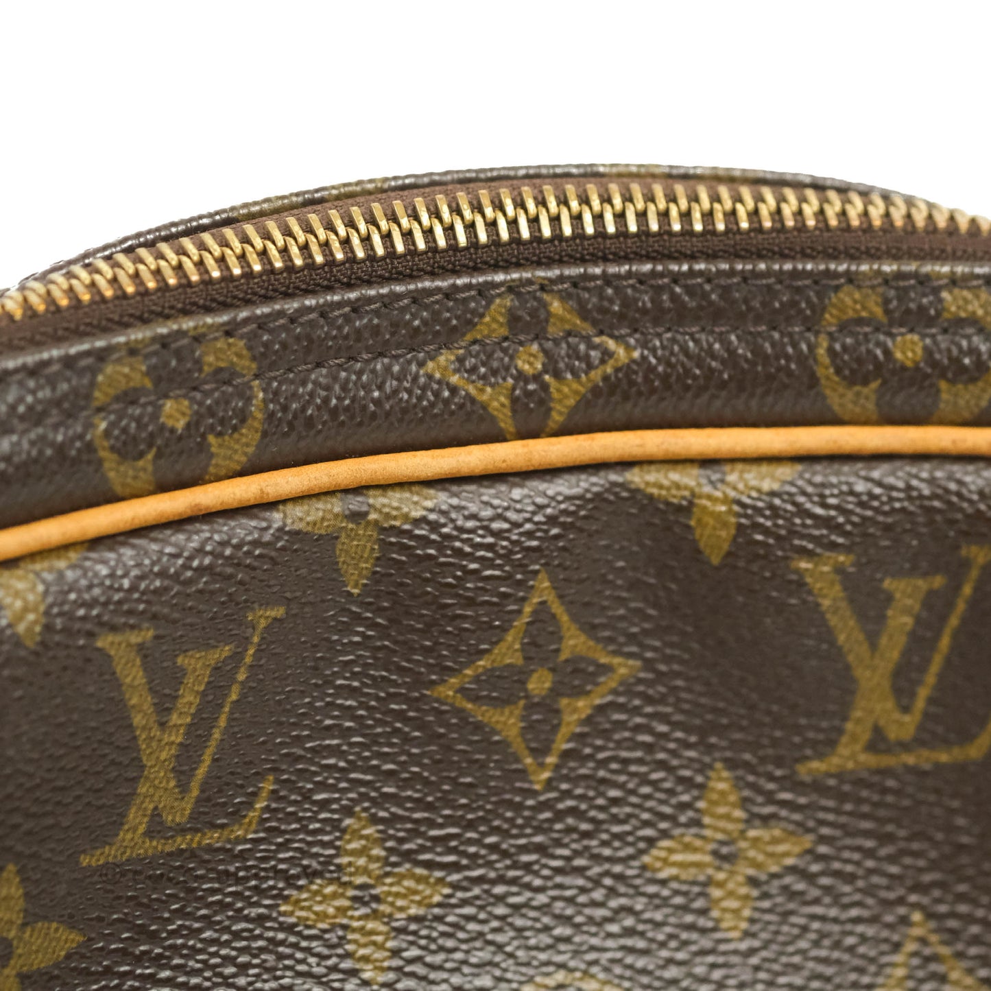 Louis Vuitton Reporter Shoulder Bag PM Monogram Canvas