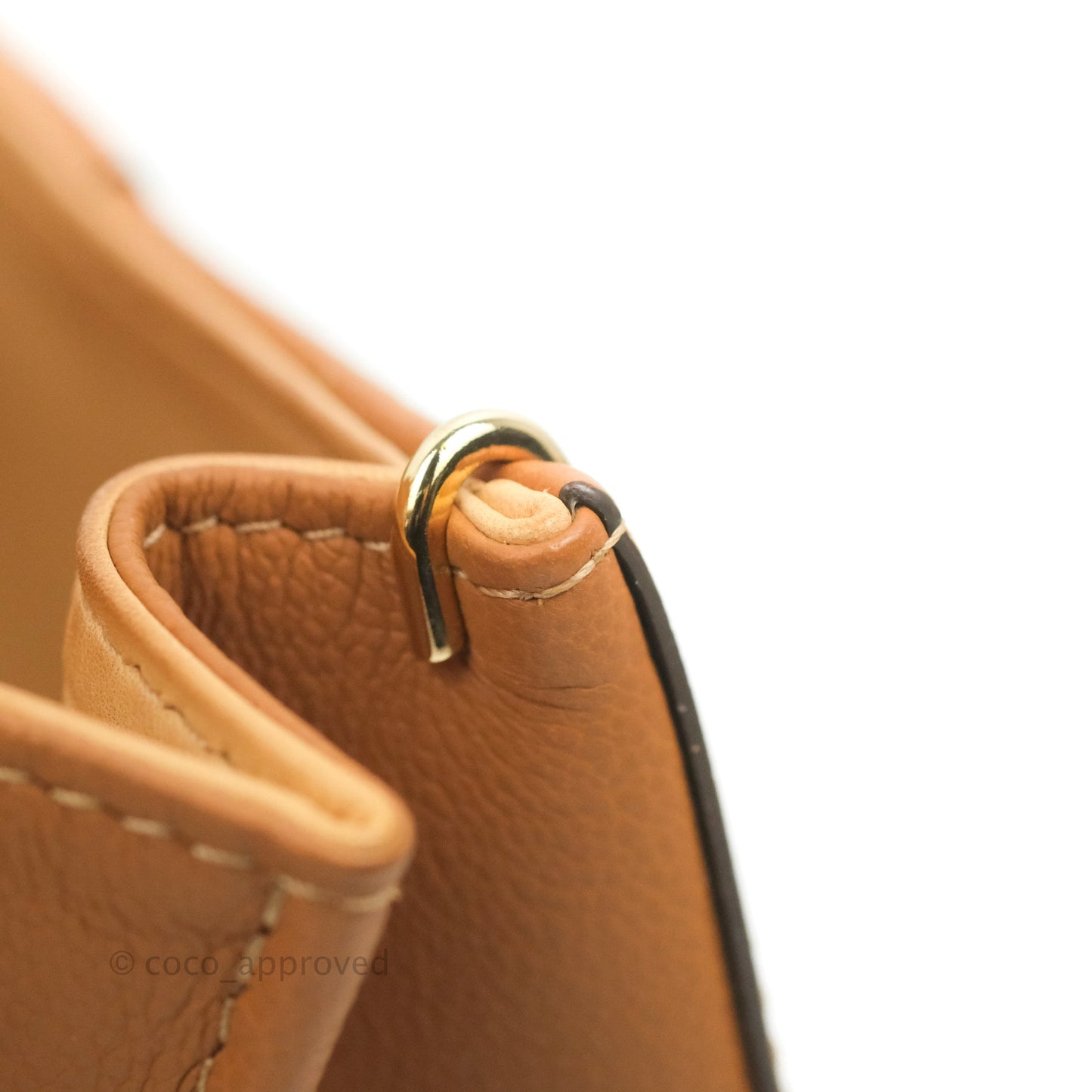Delvaux Mini Brillant Bag Vegetal Rodeo Calf Gold Hardware