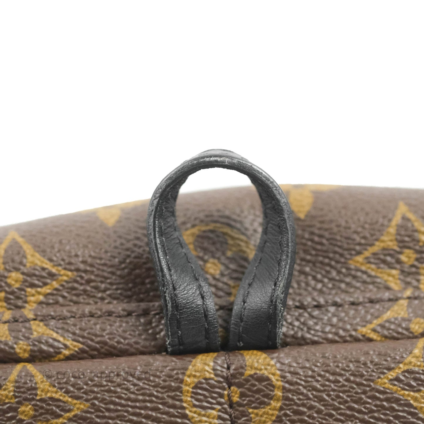 Louis Vuitton Monogram Mini Palm Springs Backpack⁣