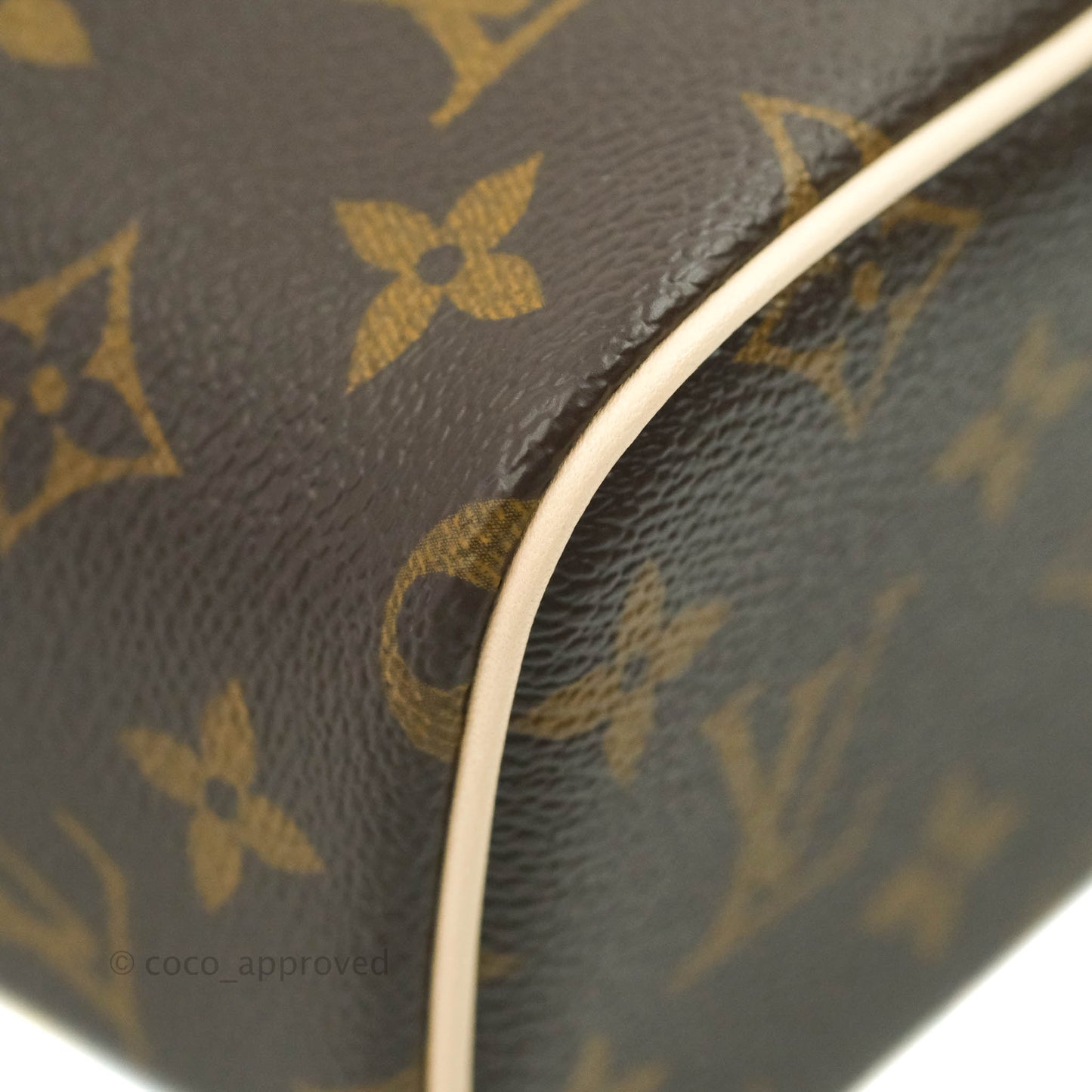 Louis Vuitton Monogram Nice Nano