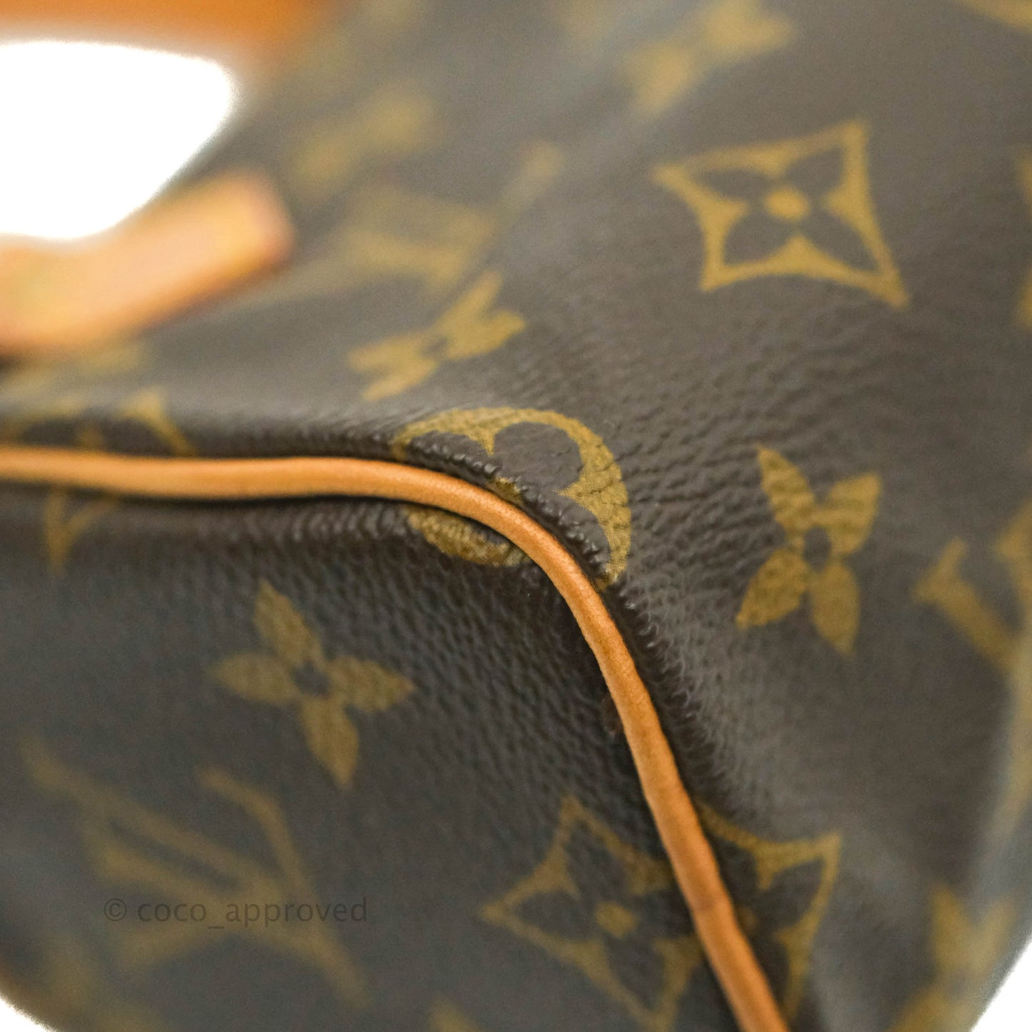 Louis Vuitton Monogram Canvas Nano Speedy Vintage