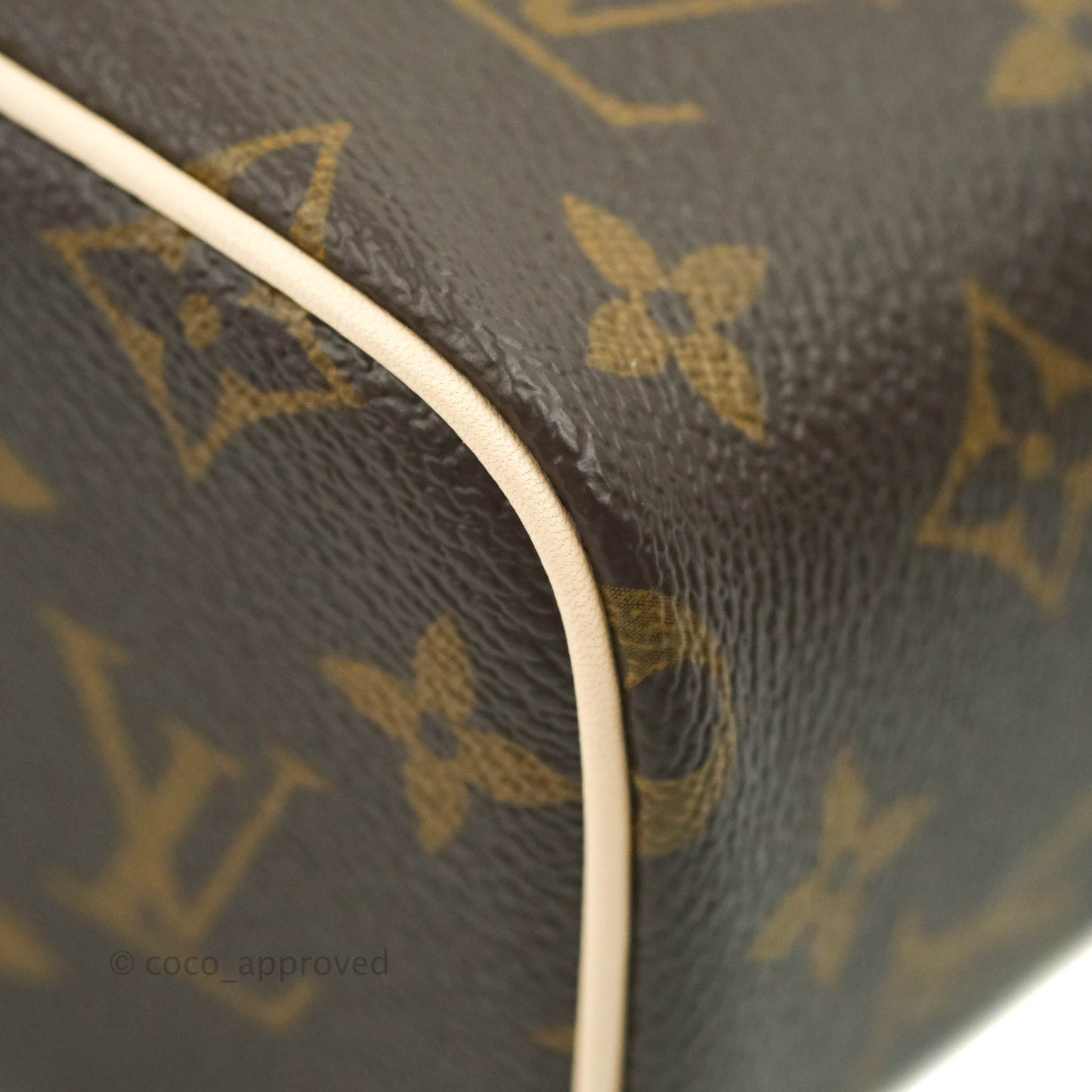 Louis Vuitton Monogram Nice Nano