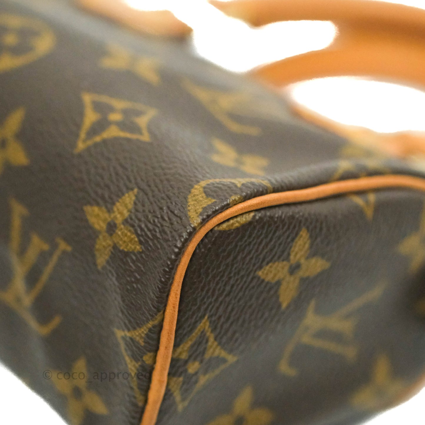 Louis Vuitton Monogram Canvas Nano Speedy Vintage