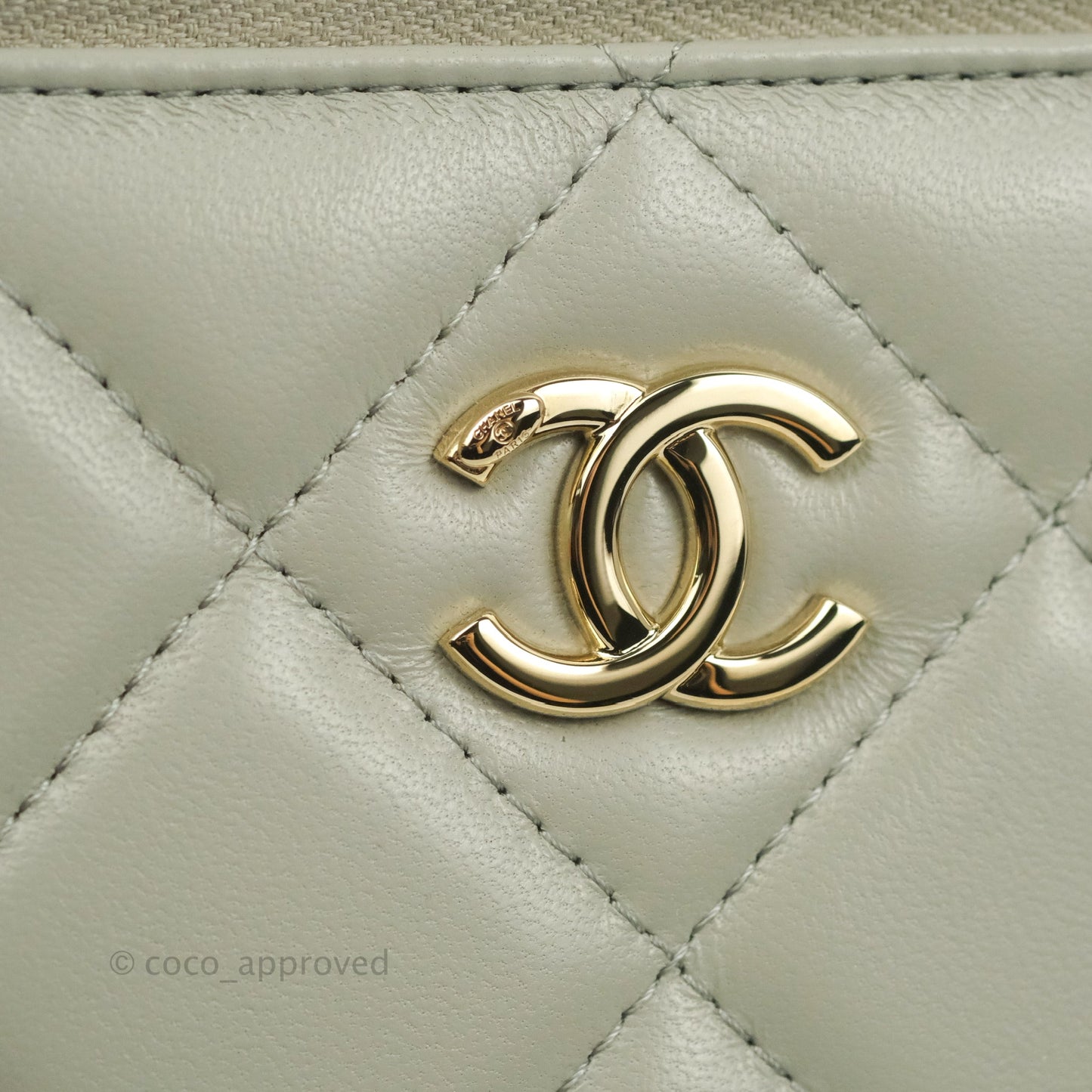 Chanel Resin Elegant Chain Vanity Case Grey Lambskin Gold Hardware