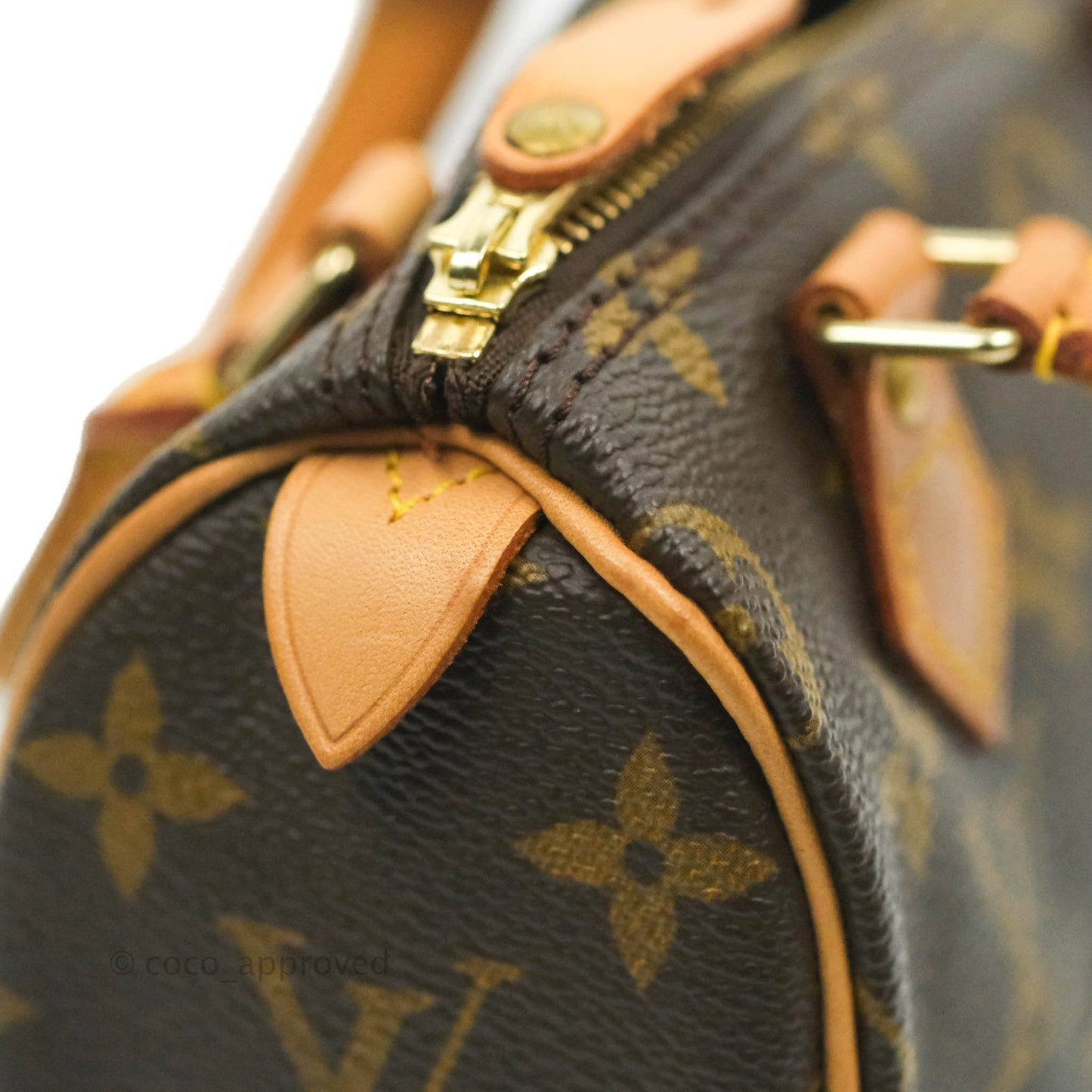 Louis Vuitton Monogram Canvas Nano Speedy Vintage