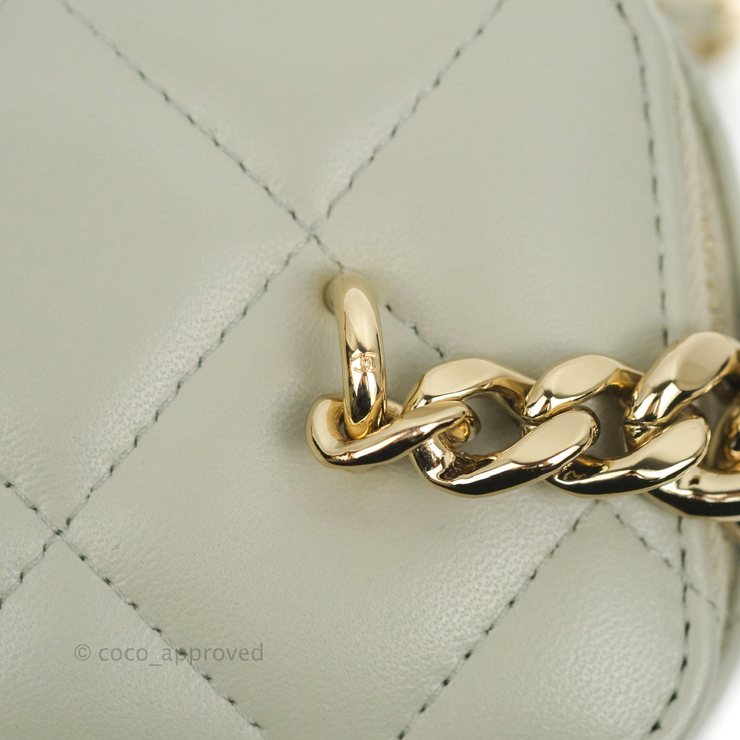 Chanel Resin Elegant Chain Vanity Case Grey Lambskin Gold Hardware