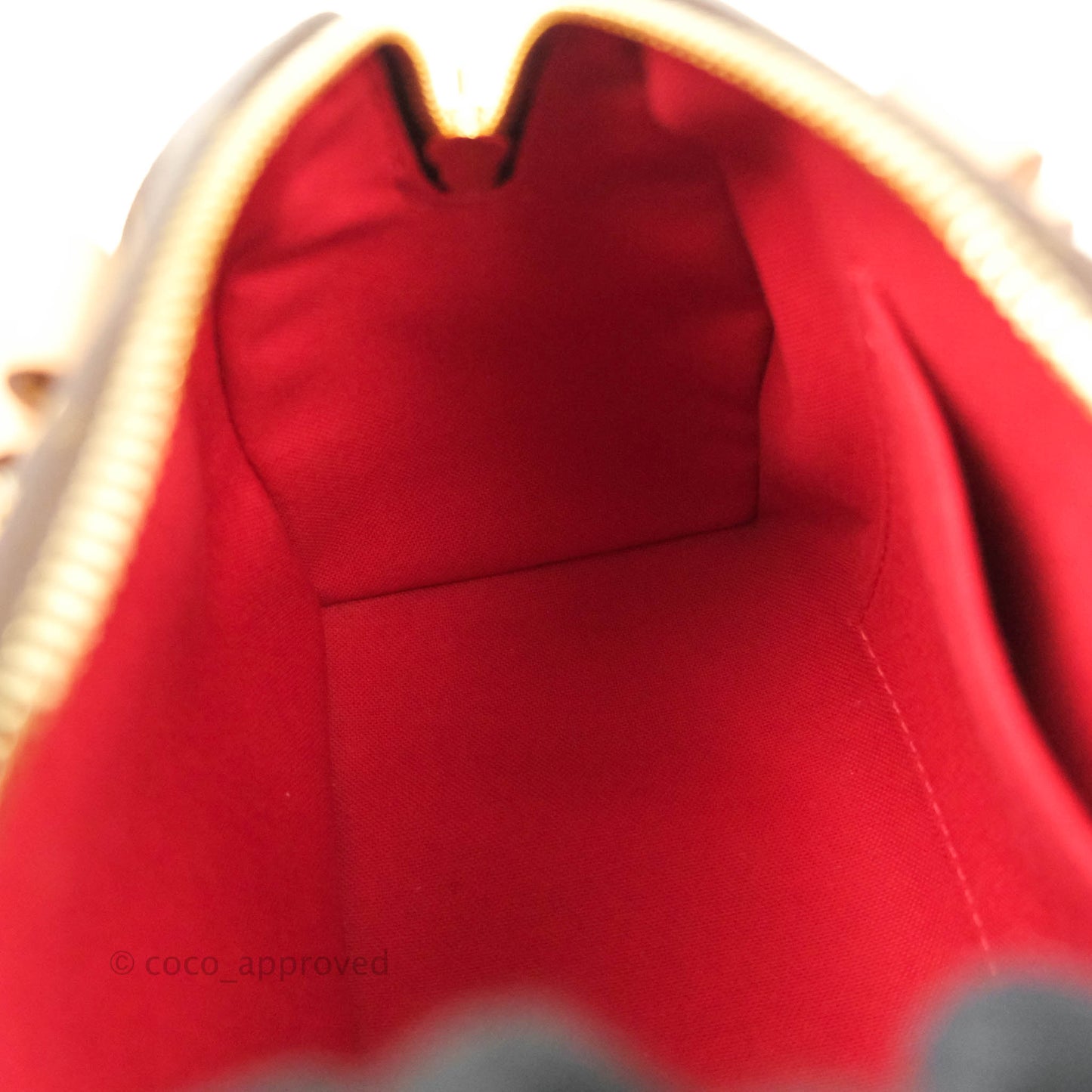 Louis Vuitton Speedy Bandoulière 20 Monogram