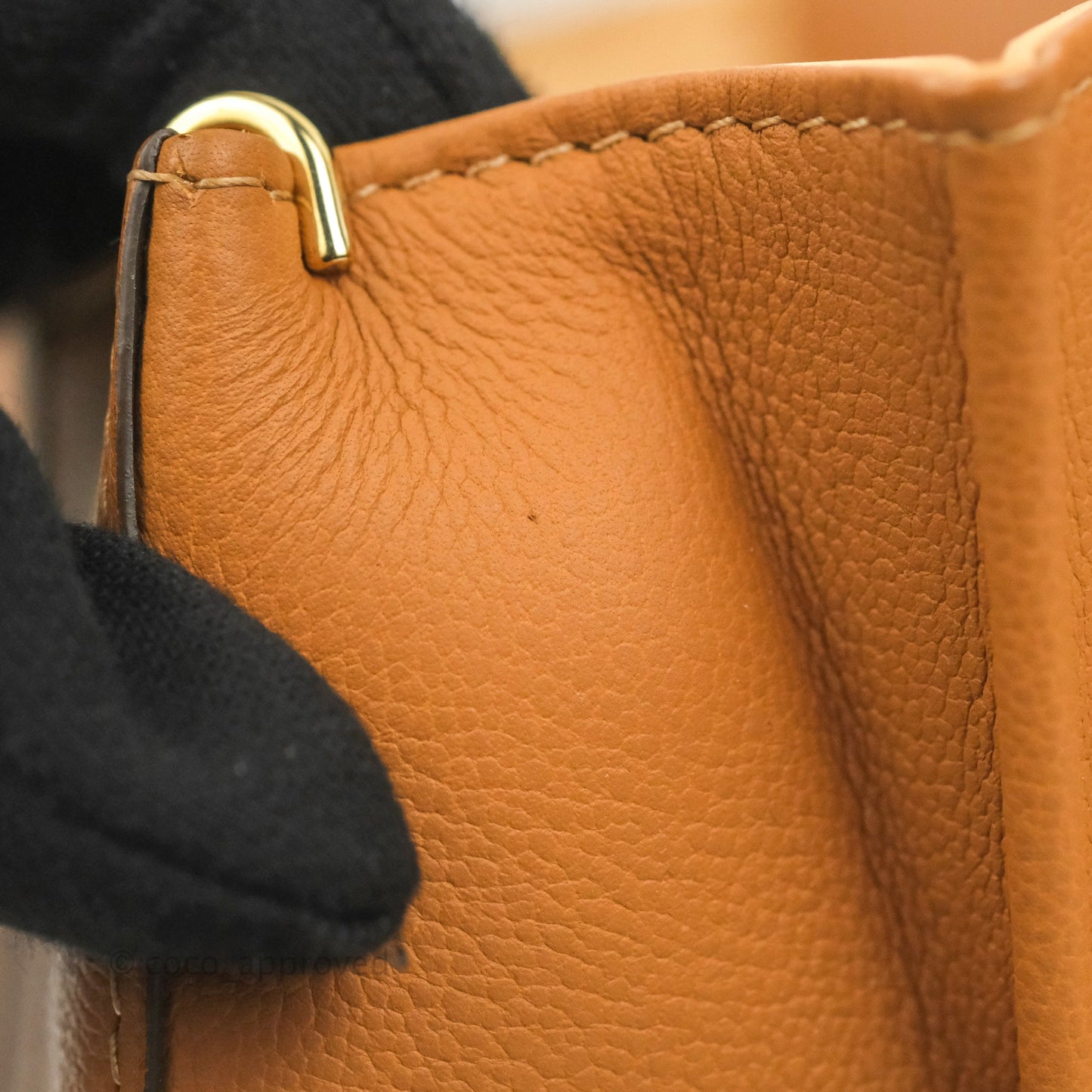 Delvaux Mini Brillant Bag Vegetal Rodeo Calf Gold Hardware
