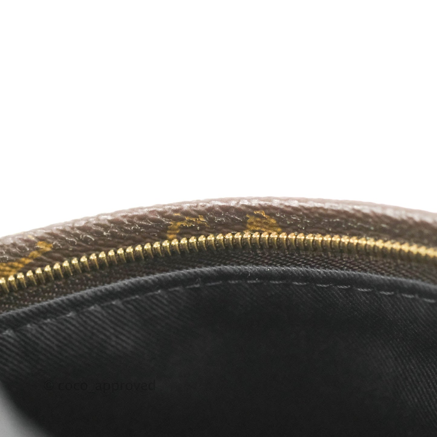 Louis Vuitton Monogram Mini Palm Springs Backpack⁣