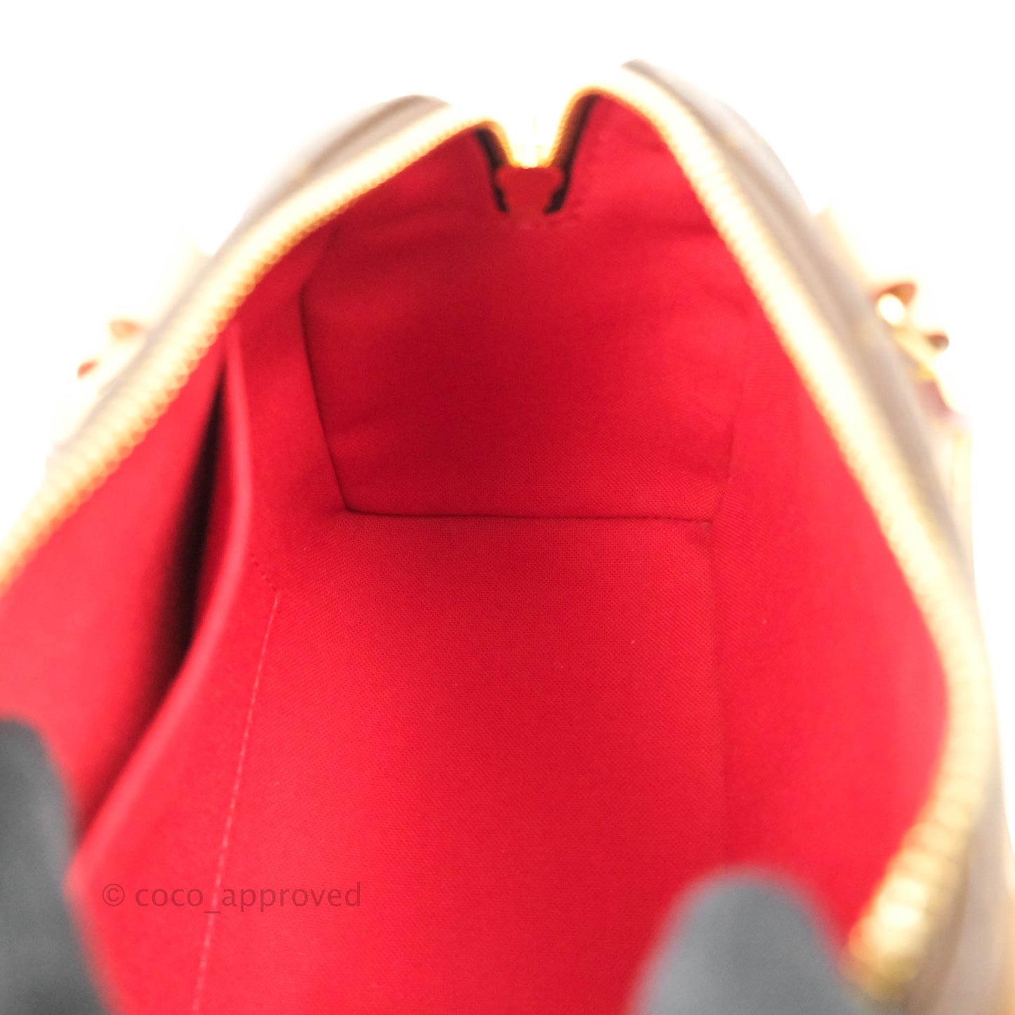 Louis Vuitton Speedy Bandoulière 20 Monogram