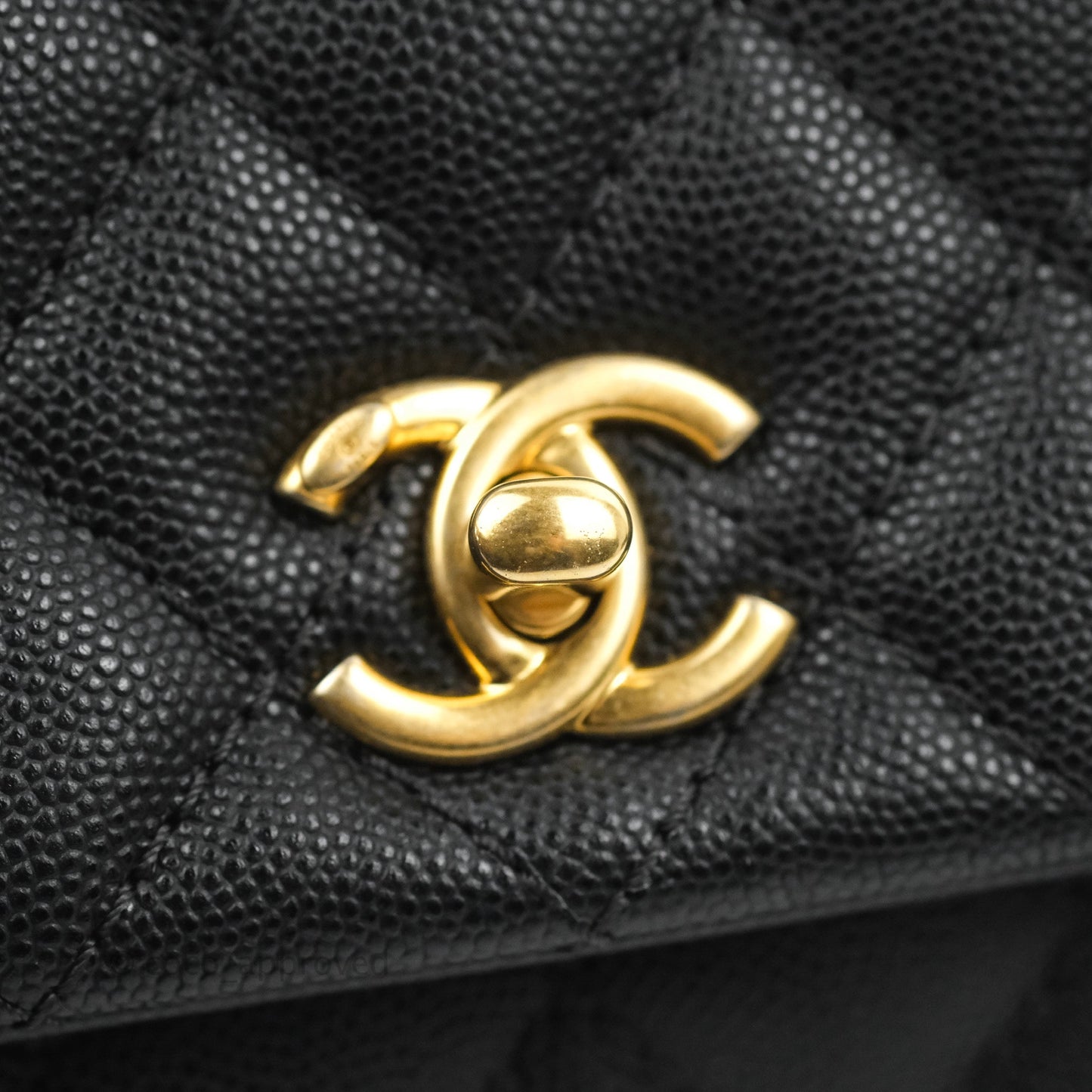 Chanel Small Coco Handle Quilted Black Caviar Aged Gold Hardware Lizard Handle