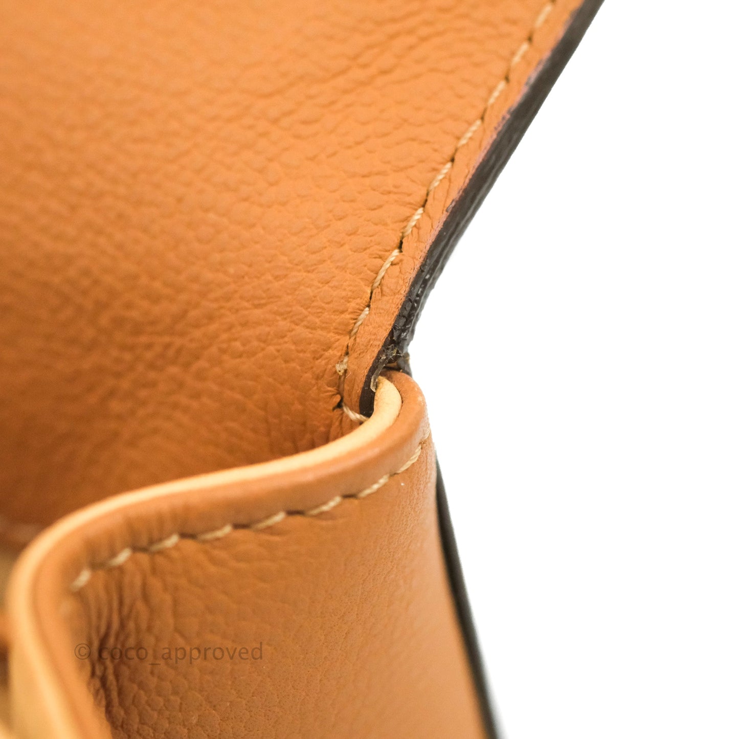Delvaux Mini Brillant Bag Vegetal Rodeo Calf Gold Hardware