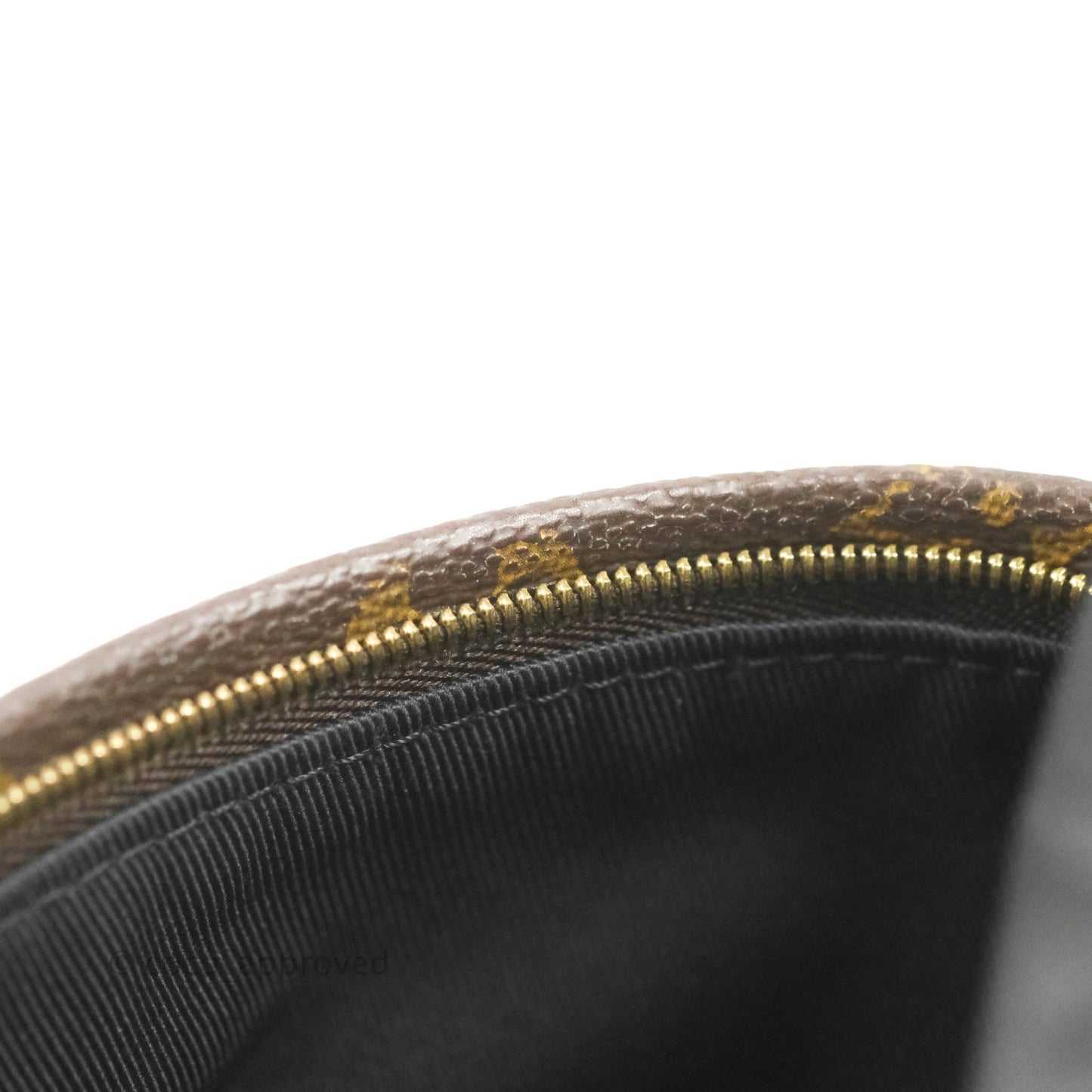 Louis Vuitton Monogram Mini Palm Springs Backpack⁣