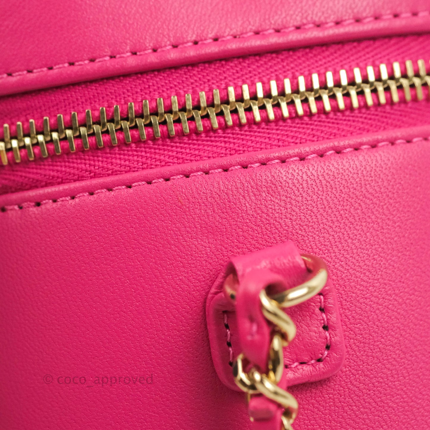 Chanel CC Mania Vanity Case Pink Lambskin Gold Hardware