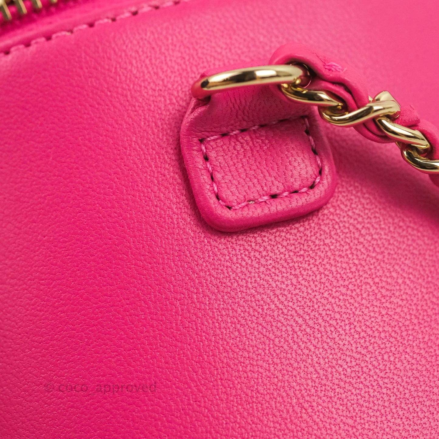 Chanel CC Mania Vanity Case Pink Lambskin Gold Hardware