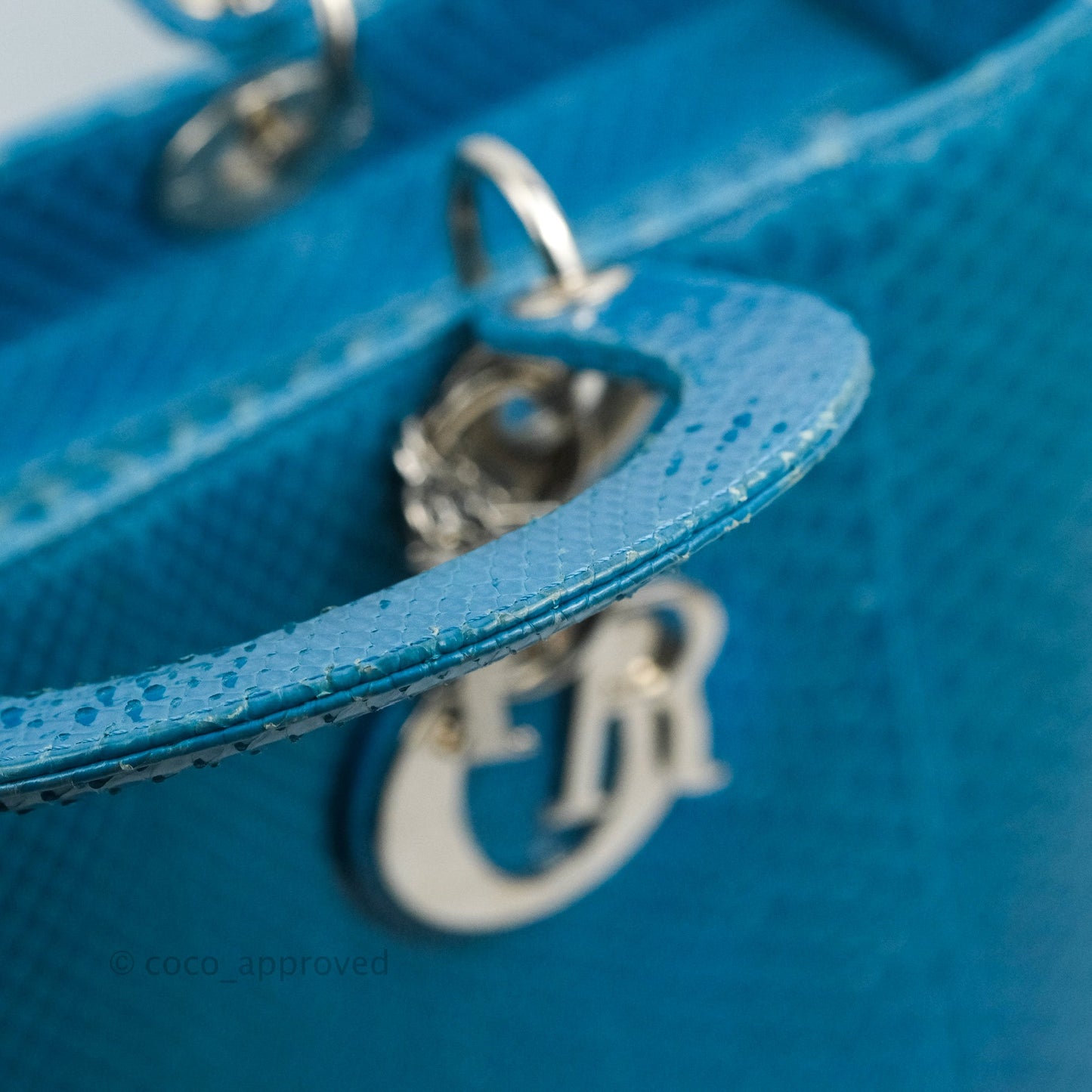 Christian Dior Large Lady Dior Python Blue Silver Hardware